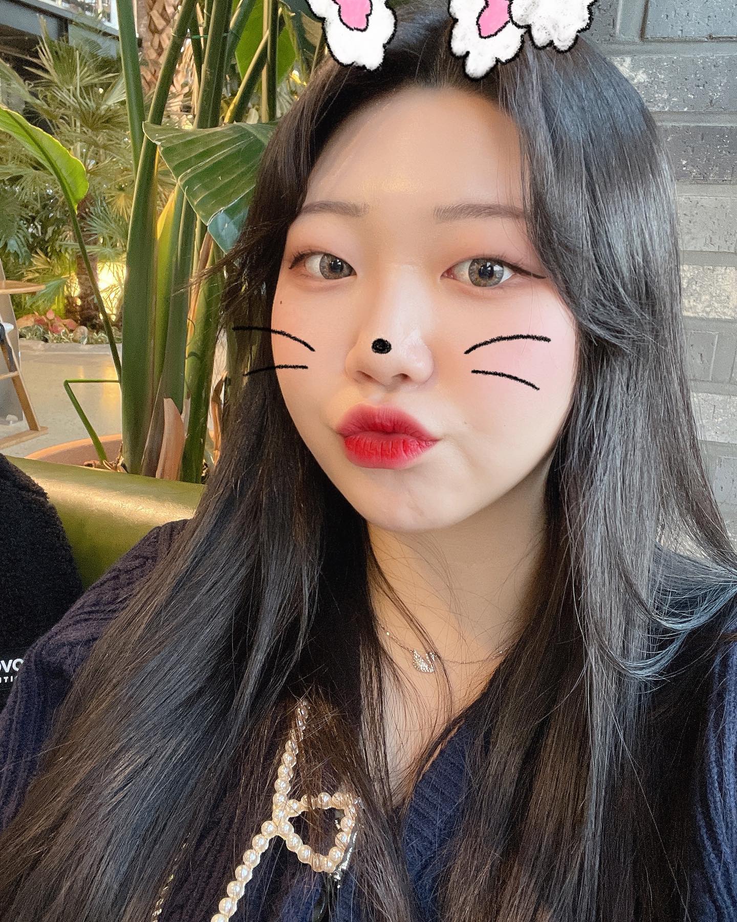 🐰✨