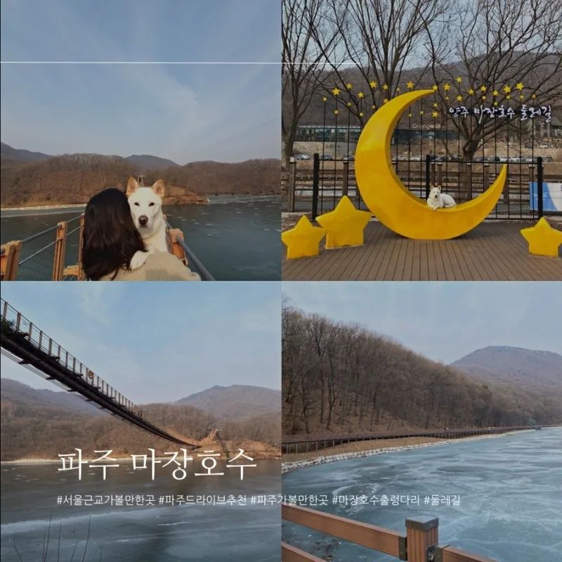 파주 마장호수 출렁다리
애견동반 가능하여 반려견과 같이 산책
수변길이 조성되어 아름다운 산책로
날이 추워 호수가 꽁꽁 얼어서 색다른 뷰
호수 밑에 미사일 겁나 쏘고 있나 _@?

#파주 #마장호수 #출렁다리 #애견동반 #산책로 #수변길 #미사일