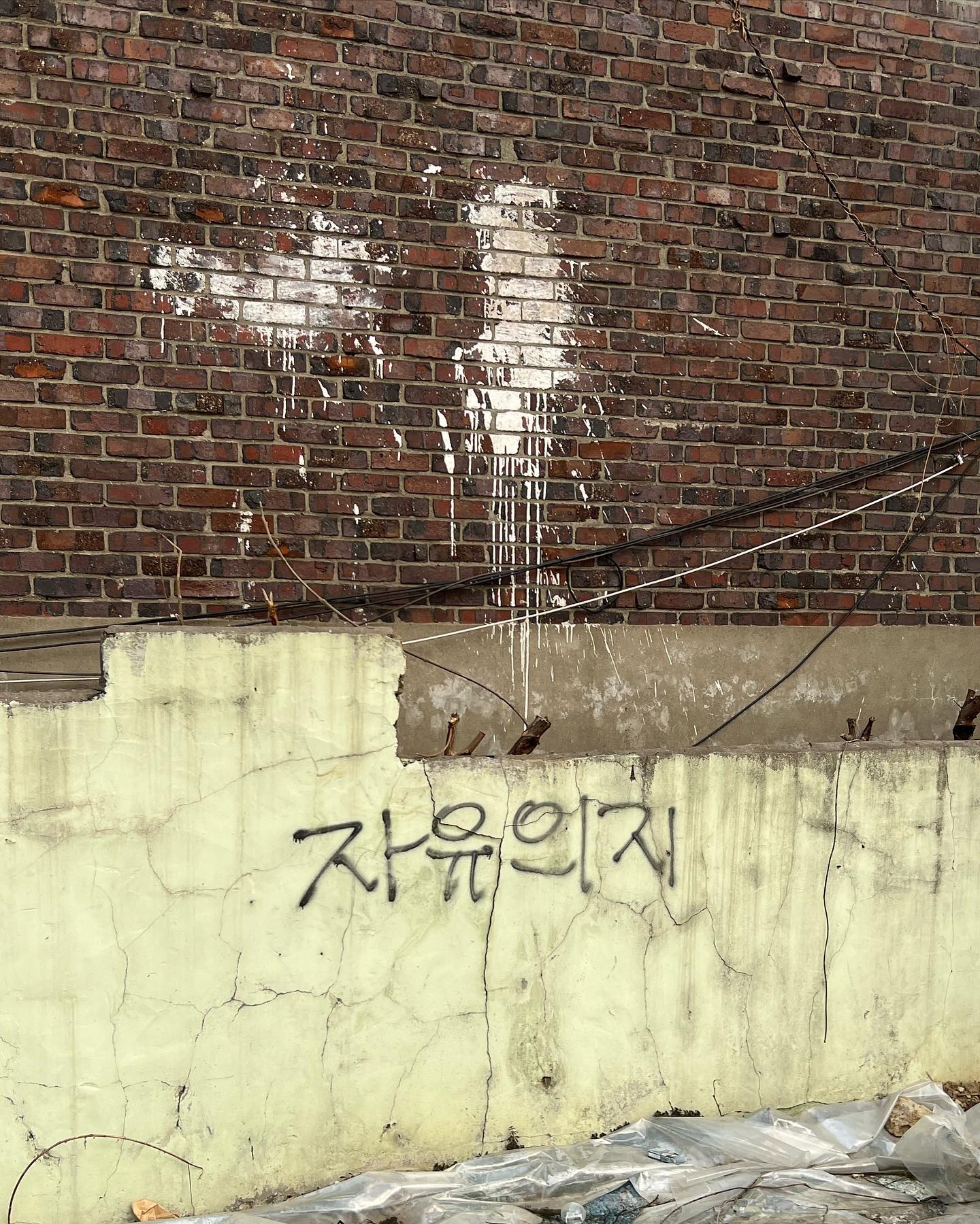 콘텐츠