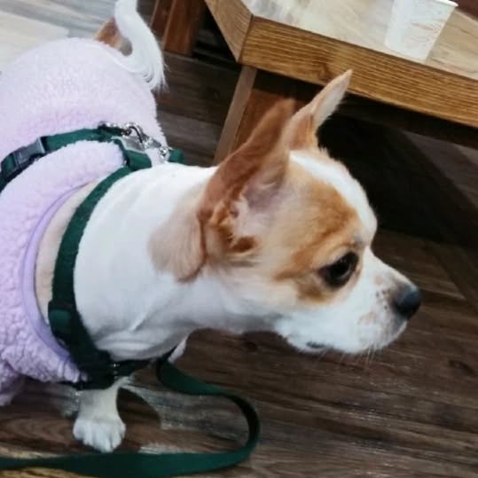 육.