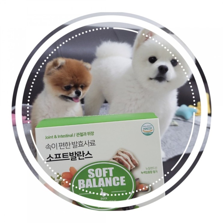 강아지 반습식사료, 관절에 좋은 씨디랩 소프트발란스로 챙기세요