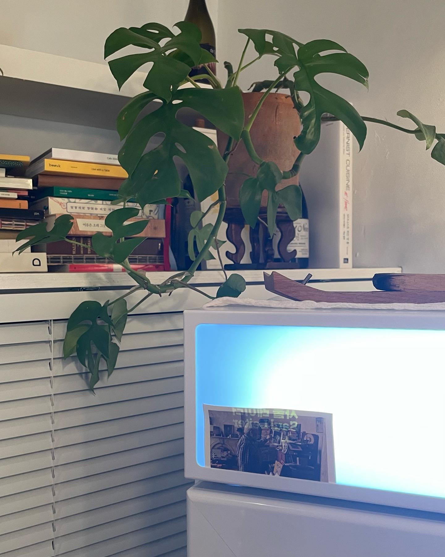 🌿