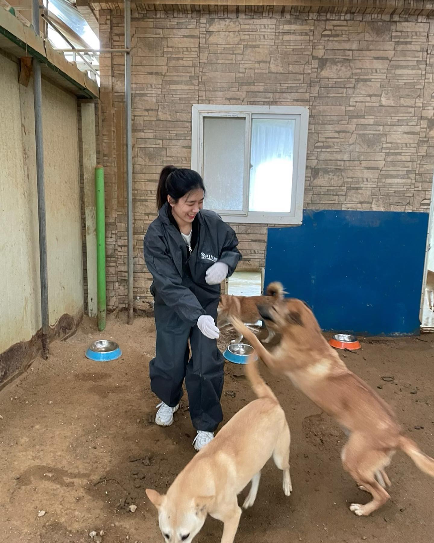 행강보호소 유기견 봉사🐕 예쁜 아이들이랑 친해지고 산책시켜주면서 신나게 뛰댕겼다 :D 나랑 산책한 아이들이 다 힘이 넘쳐나서 꽤 오랫동안 전력질주했다😎 예쁜 아이들 얼른 좋은 주인 만나서 더 행복해라♥️
#사지말고입양하세요