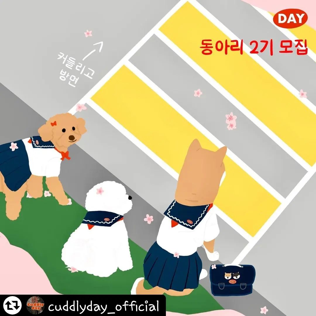 #리그램 - cuddlyday_official by get_regrammer
커들리 칭구들💖💖
곧 꽃피는 봄이 오고 새학기가 시작됩니다
새학기가 되기전에 동아리멤버 2학년 학생들을 
먼저 모집합니당💖
(10개월만에 모집이라서 더 뜻 깊어요🥹)

🌸모집내용
3개월간 커들리데이의 신상품을 받고 함께 소통하며 활동을 
열심히 해줄 커들리고 2학년 동아리멤버 💖
• 한 상품당 월 3회 이상 피드 올리기
• 최초수령 후 일주일이내에 피드 올리기
• 3개월간 끝까지 활동 해주세요 
• 1학년 멤버중 열심히 해준 멤버도 복학(참여)할 수 있어요😉
(업로드 지켜주지 않으면 활동 및 상품제공이 중단됩니다)

🌸모집기간
2월 5일 (일) ~ 2월 12일 (일) 

🌸모집인원
•강아지,고양이 크기,견종, 팔로워수 상관없이 
모든 보호자님들 7명💖

🌸참여방법
커들리데이 팔로우 (cuddlyday_official ) 👉🏻 피드 리그램 👉🏻댓글 참여확인 ✔️

🌸 커들리데이를 좋아해주시고 애정해주시는
모든분은 누구나 환영하고 감사하지만
비공개계정 / 유령계정 / 광고(다발성이벤트)계정은 제한하겠습니다 의미없는 선물은 하고 싶지 않아요.

모집내용 읽어보시고 꼭 지켜주시고
커들리데이와 소중한 인연으로 오래 함께 하고 싶은 분만 
참여해주세용❤️ 

(후기 사진은 마케팅 목적으로 커들리데이 스토어팜 및 
인스타그램, 입점처에 활용될수 있습니다.)

#커들리데이동아리#커들리데이멤버
#커들리데이#커들리고입학
#커들리2학년모집
#커들리의시간은거꾸로간다💫
#강아지목도리#강아지스카프#고양이케이프