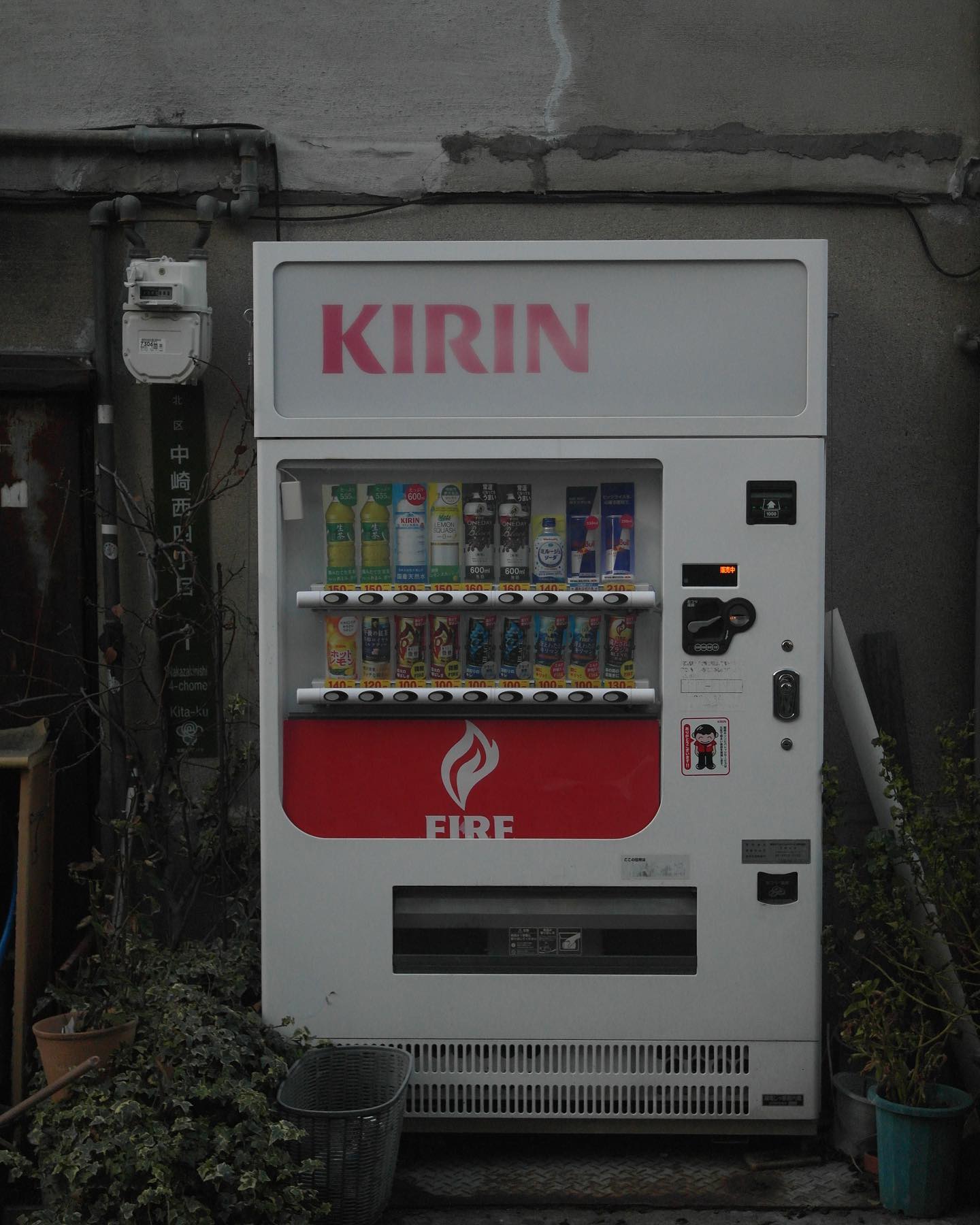 콘텐츠