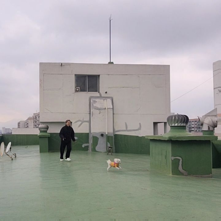 둥이🐶 VS 큰둥이👩 나잡아봐라🏃‍♀️
엉니가 자꾸 지비츠도둑이라면서 쪼차오는뎨 왜구런거야!!!🔥 지비츠가 몬데?!!🫨나능 보라털뭉치 친구랑 놀았을뿌닌데!!💜

거의 둥이랑 엉니야뿐이라 오프리쉬 가능하고 대빵 큰 운동장이 있는걸 이사오고 2년이 지나서야 알아서 넘나 아쉽따...☆
중간중간 이웃님들 올라오시긴 하지만 오시는분들만 오셔서 오시면 방가워서 더 쬬앙😝

맨날 이로케 뛰뛰하묜 자동 다이어트 각이다 그치?!🏃‍♀️
밥맛도 더 좋아지구 뛰뛰도실컷해서 너묘 조앙😆
+마지막사진은 그림자가 넘 귀욥습니둥ㅜㅜ❤️‍🔥

#200평운동장 #우리집옥상 #옥상 #옥상운동장 #꿀같은공간 #이제야알다니 #1일1옥상 #1일1산책 #주2회등원 #피개행개 #멍스타그램 #개스타그램 #내새꾸 #건강만하자 #맞팔은댓글로남겨주세요😊