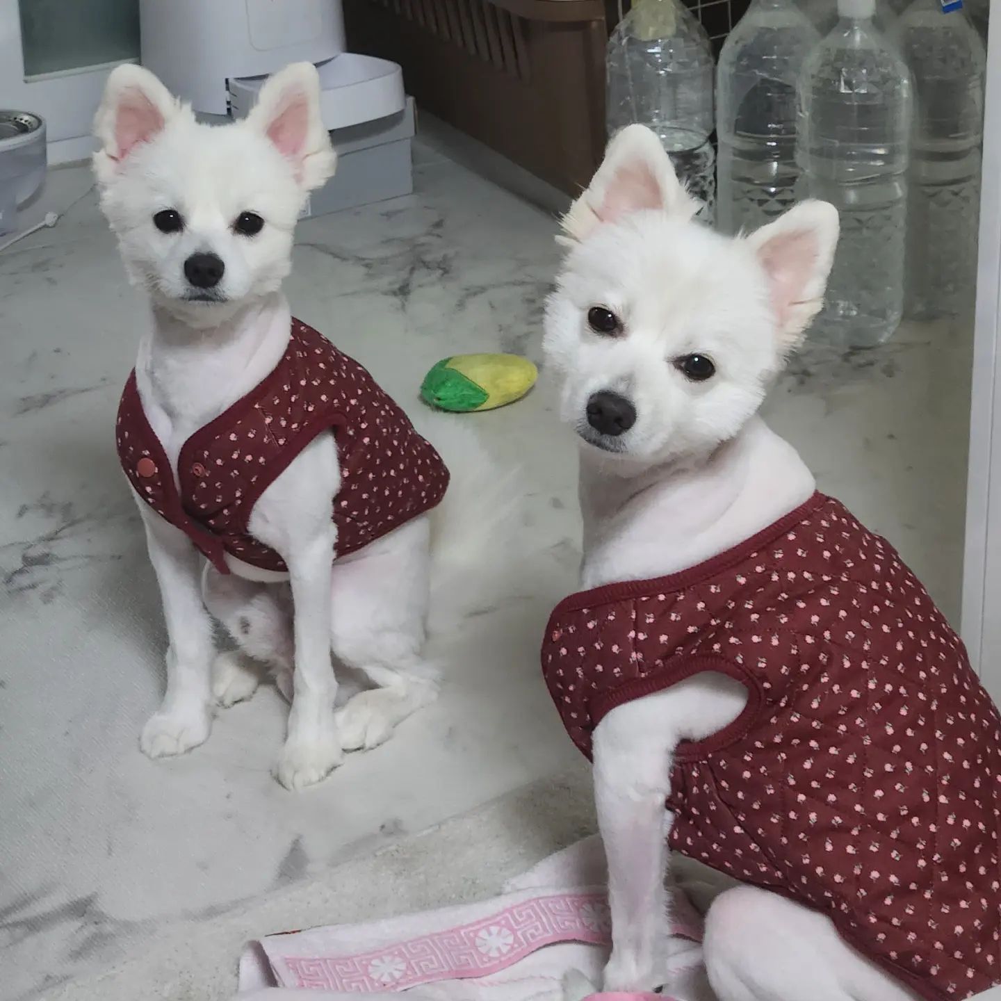 미용 못하는 엄마가 미안 ㅋㅋ🩷