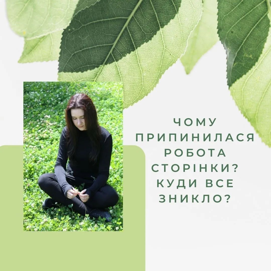 콘텐츠