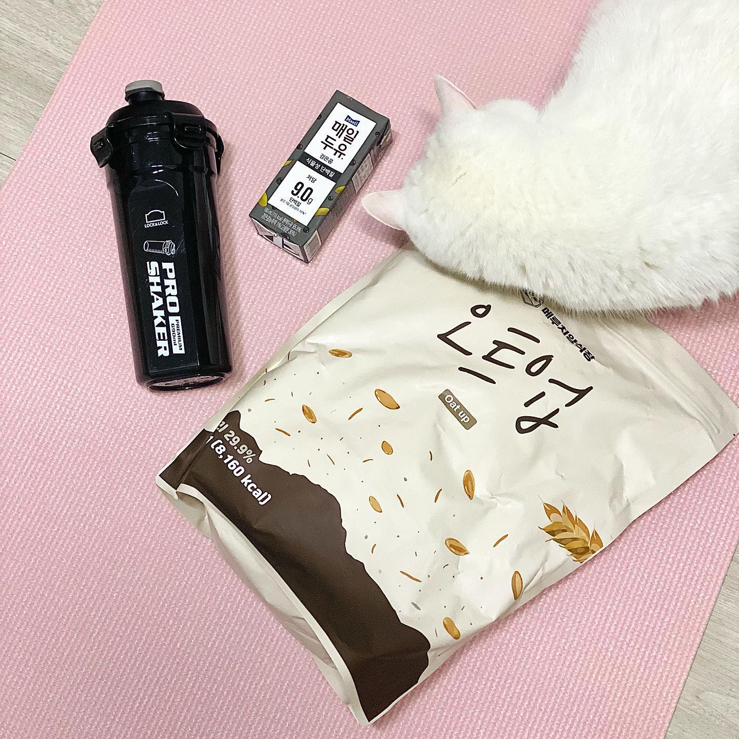 #오트업 #후기 

유튜브에서 [메루치양식장]의 마른 여자 벌크업 영상을 보고 시작한 홈트💪🏻
올해는 증량과 더불어 복근까지 욕심을 내보려던 중 도움이 될 것 같아 주문한 ‘오트업’
인위적인 단맛에 힘겹게 먹던 다른 보충제들과 달리 고소한 미숫가루 맛에 귀리 플레이크로 바삭한 식감까지 더해져서 진짜 맛있어서 더 먹고 싶어진다..헿
소심쟁이라 헬스장을 다시 등록해야 하는데 못하고 홈트만 하는 중이지만 봄에는 헬스장도 등록하고 더 확실한 벌크업을 해보겠습니다!!😤