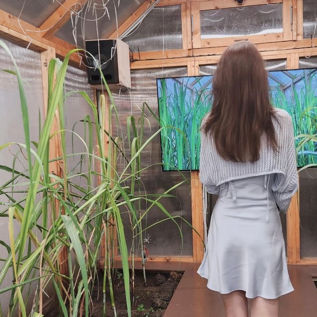 태희 on Instagram: "#협찬  60min 슬리밍 프로그램 받아봤는데요, 
복부중심의 
전신스파+고주파+ems중저주파♡

받고 싶었던 이유가 복부코어개선과 혈액순환목적이였는 데 1회만으로도 몸이 풀어진듯해서 좋았어요:) 

특히, 레스아로마테라피(madeinitaly)스파 했을 때
땀이 정말 물흐르듯 흘러서 놀래면서도 개운했고
(기기나 아로마테라피품질이 좋은 듯했어요!),
고주파 러빙은 뜨끈하게 압을주어 러빙을 해주시는 데 
처음받아본건데도 노근노근하게 풀어지는 느낌으로 
중심부라 그런 지 몸전체적으로 평소보다 잘 흐른다는 
느낌을 받을 수 있었어요♡
다만 안내시 프라이빗한 세심한 배려와 어수선한분위기가 조금많이 아쉬웠어요ㅜ 

전엔 이런거 모하러 하나 했었는 데 꼭 살빼주는 목적이 
아니더라도 구석구석 몸에 쌓인 노폐물이나 막힌 곳 풀어주기 위해서 해주는 거 너무 추천드려요!! 

#제이알센터#강남비만관리#내방역비만관리#서초동비만관리#방배동비만관리#반포동비만관리#서래마을비만관리#비만클리닉#고주파관리#고주파다이어트#복부관리#복부지방#뱃살관리#바디프로필"