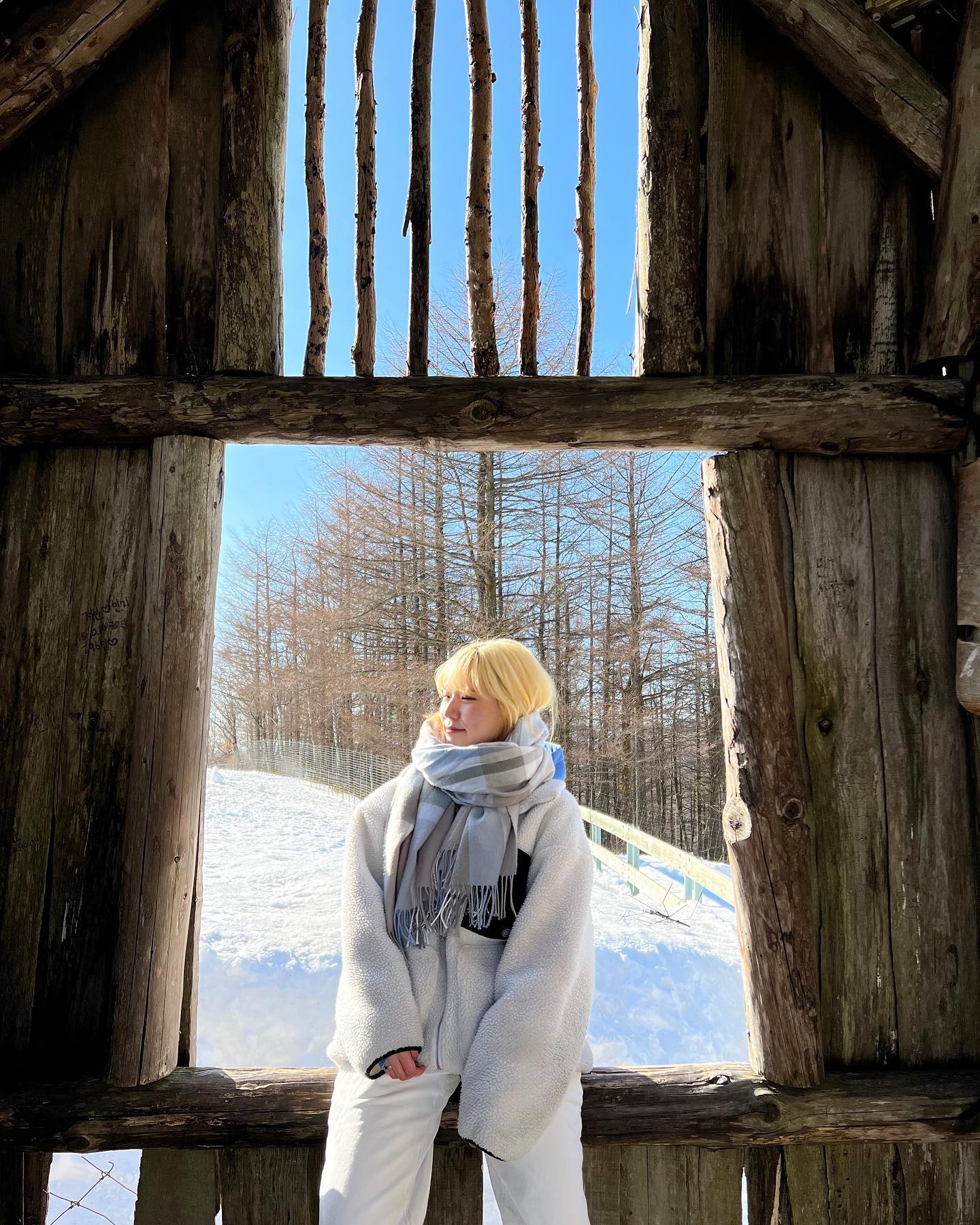23.02.21 겨울여행❄️
.
#양떼목장 #양구경 #눈구경