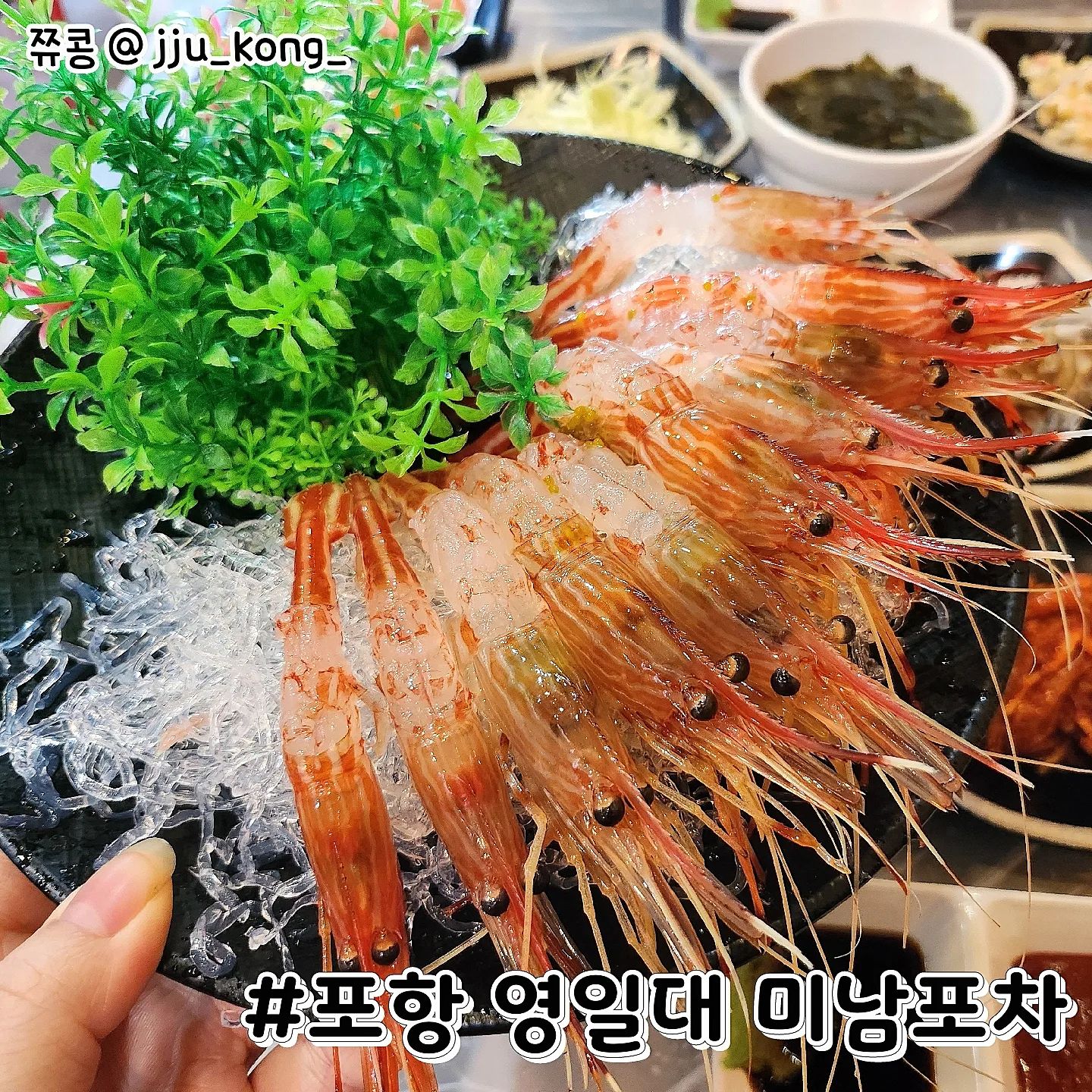#협찬 #영일대미남포차 #포항횟집

최근 계속 방문하고 있는 영일대
오늘은 여러 종류의 해산물 먹을 수 있는
포항 영일대 미남포차에 다녀왔습니다
독도새우부터 대게까지 맛나게 먹고 왔어요

🔥오늘의 주문 메뉴🔥
박달대게+독도생새우+물회+해물+매운탕

맨 먼저나온 독도생새우와 물회!
독도새우는 살이 탱글탱글하며 단맛이 일품이였어요🥰
살아있는걸 손질해주셨다보니 신선도 대박

물회도 회가 두툼하고 소스랑 잘 어울려서
밥한그릇 비벼먹으면 순삭행

메인메뉴인 박달대게
수율이 넘 가득해서 살이 잘 안빠졌어요💕
내장도 많아 밥비벼 다리살 올려 먹으면
녹진한 맛이랑 담백함이 입안가득!😭

그리고 마무리 매운탕은 필수👍
보글보글 끓여먹는 얼큰한 매운탕이였어요

오늘도 잘 먹었습니다 :D 

✅자세한 내용은 블로그 참고 
https://blog.naver.com/u_u0106/223022309132

⭐정보⭐
포항 영일대 미남포차
T.054-231-1221

경북 포항시 북구 해안로 107
영업시간 : 11:00 - 새벽 02:00
라스트 오더 : 01:30
.
.
.
.
.
.
.
#포항맛집 #영일대해수욕장 #영일만횟집