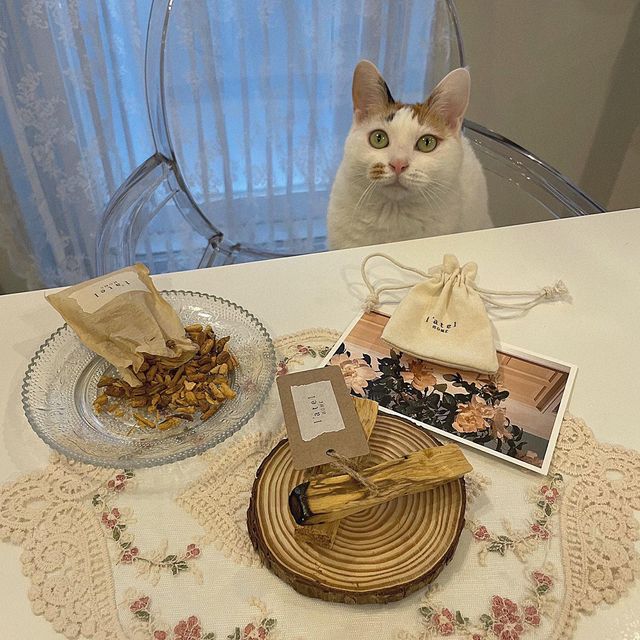 진진이네고양이잡화점 on Instagram: "#협찬 @l_atel_shop 
집사님들도 사용 가능한 라뜰 천연방향제!

인위적인 인센스 스틱이 아닌 팔로산토라는 나무 스틱인데요

저는 집에선 고양이 전용 캔들을 쓰고
웬만해선 인공향이 나는 제품을 안 쓰려고 노력하는데 이 제품은 친환경적인 방향제라 안심하고 사용할 수 있겠더라구요!

요 팔로산토 나무를 태웠을 땐 나무 향이 많이 찐하게 나서 요리 냄새를 덮을 때 딱이었구요 스틱이 타면서 연기 나는 걸 보고 있으면 힐링도 되고 기분이 너무 좋다구욤🤍 (환기는 반드시 필수!) 

무엇보다 굳이 태우지 않고도 은은한 우디향이 솔솔 나서 팔로산토 칩은 거실에 걸어두고 쓰고 있어요!

패키지도 예쁘고 이니셜택이 있기 때문에 특별하고도 부담 없는 선물로도 정말 좋을 것 같습니다☺️

+마지막 영상을 보시면 빵진이가 팔로산토 나무스틱을 너무 좋아해요😂 마따따비 꼬치 느낌인 걸까요?

#팔로산토 #스머지스틱 #인센스스틱 #차량용방향제 #사쉐 #샤쉐 #천연방향제 #집들이선물 #힐링 #집꾸미기 #오늘의집 #cat #catstagram #캣스타그램 #방향제 #친환경"