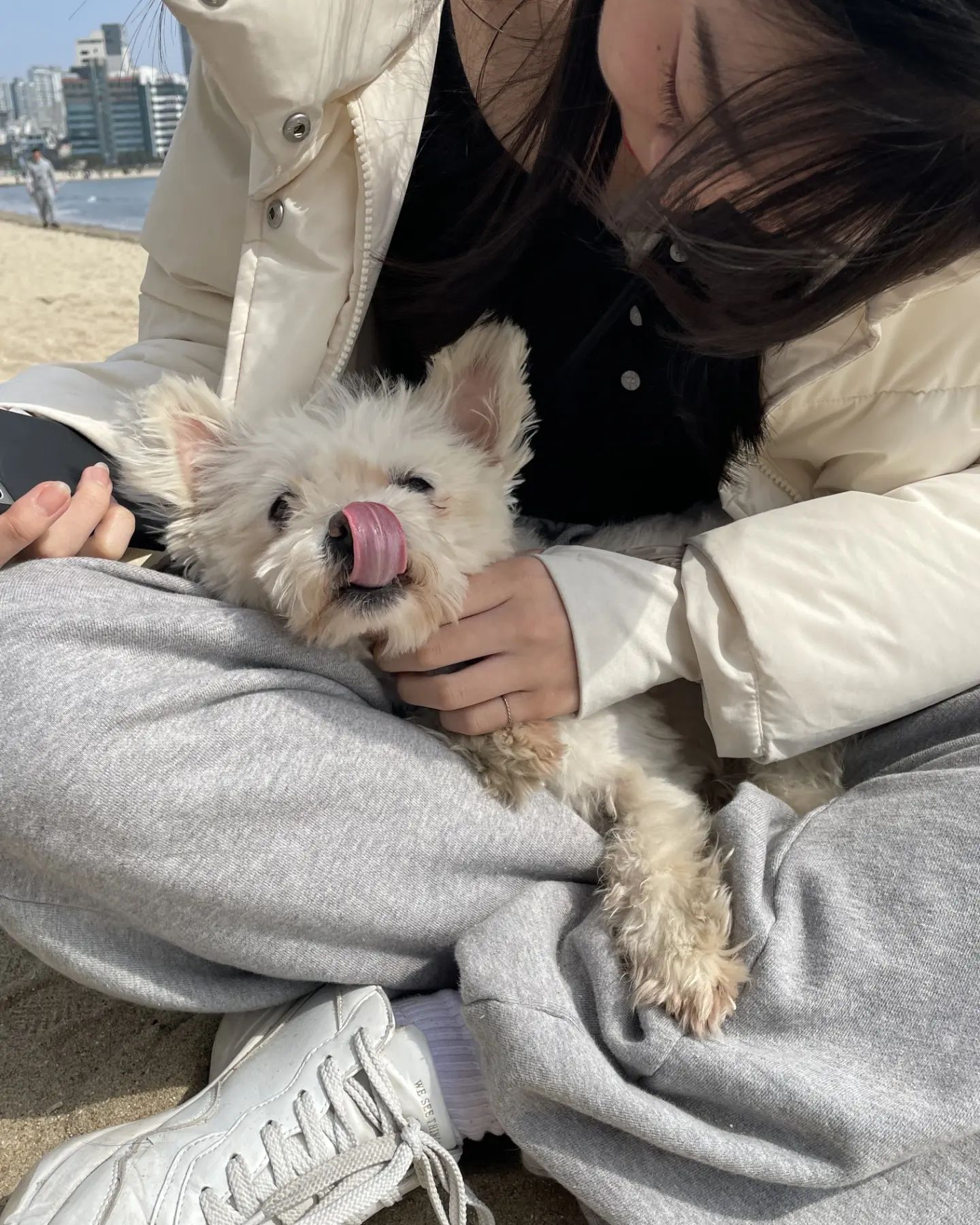 ㅇㅣ름도 모르는 강쥐거등요