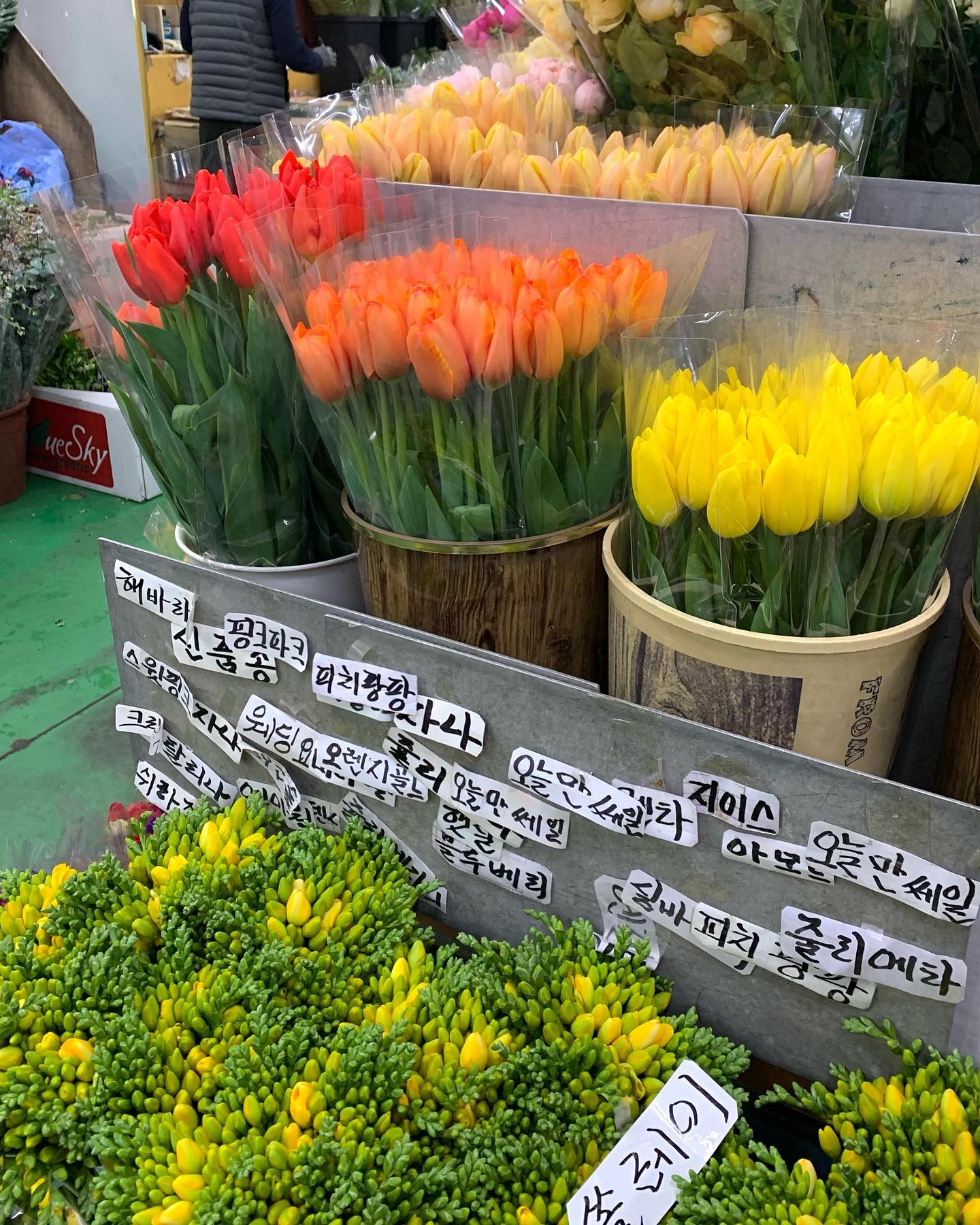 언제와도 기분 좋아지는 곳🌷