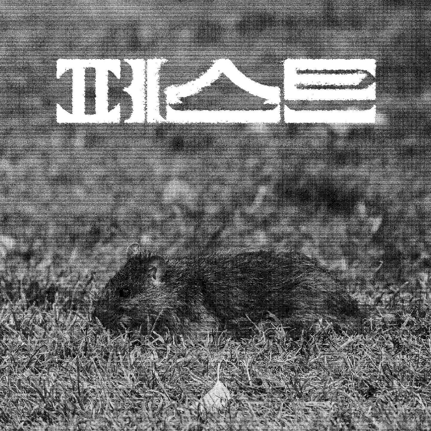 꼴 5기(the_kkol) 3팀
고전 도서 제목을 이용하여 레터링하기

평범하고 조용한 해안 도시 오랑. 언젠가부터 거리로 나와 비틀거리다 죽어 가는 쥐 떼가 곳곳에서 발견되기 시작하고, 정부 당국은 곧 페스트를 선포한다. 봉쇄된 도시, 무방비 상태의 공간에서 질병이 확산되면서 사람들은 무서운 속도로 다가와있는 죽음과 투쟁을 벌이기 시작한다. 

민음사 세계문학전집 판형 페스트 소개 중

위의 이미지 컷에 적혀 있듯이 쥐가 가지고 있는 큰 이빨을 페스트가 주는 위험, 두려움으로 녹여내었고 단단함을 가진 네모꼴로 만들어 무게감을 표현하였습니다. 특히, 잉크 블리딩 효과는 소설이 가지고 있는 시대적 표현과 분위기에 어울린다고 생각하여 넣어보았습니다.
.
.
.
.
.
.
#타이포그래피 #타이포 #레터링 #한글레터링 #한글 #typography #typographydesign #design #follow #like #lettering #graphic #graphicdesign #팔로우 #좋아요 #그래픽 #외주 #외주작업