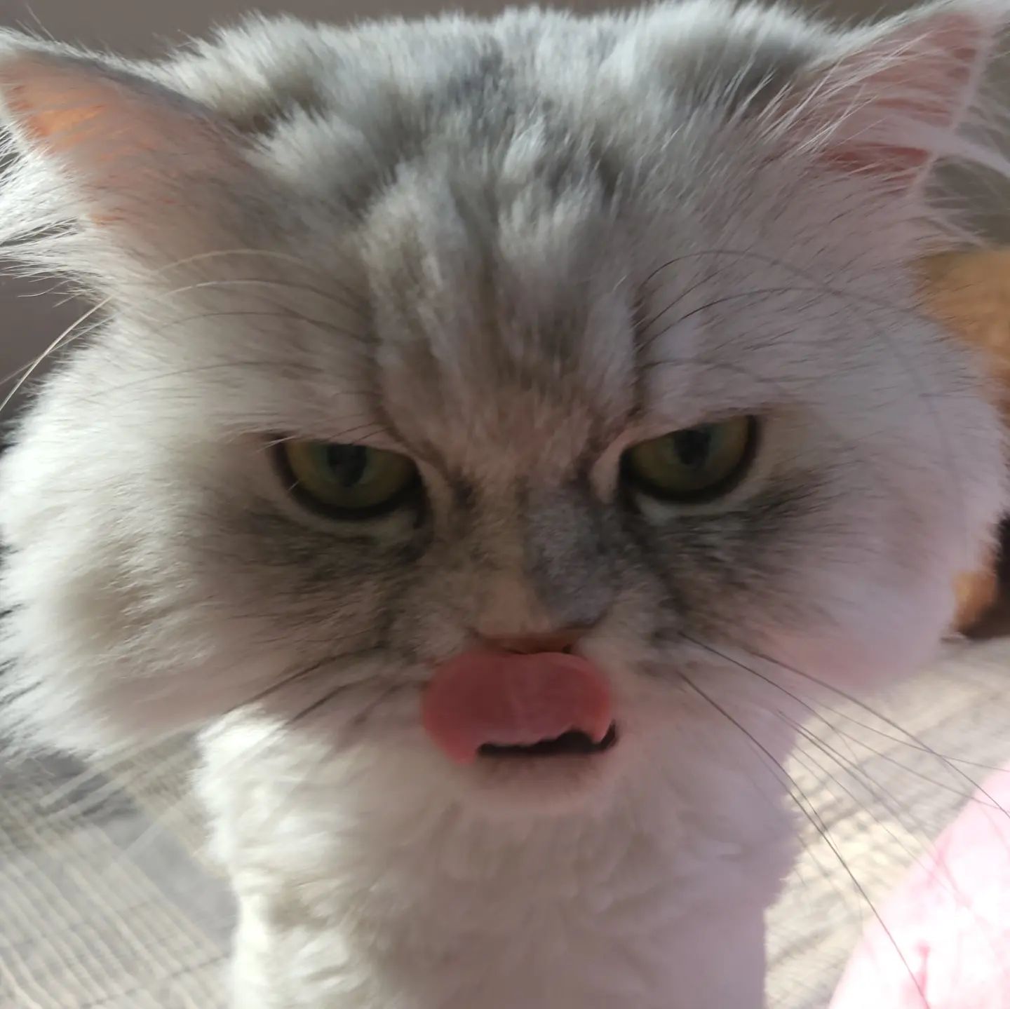 👅
