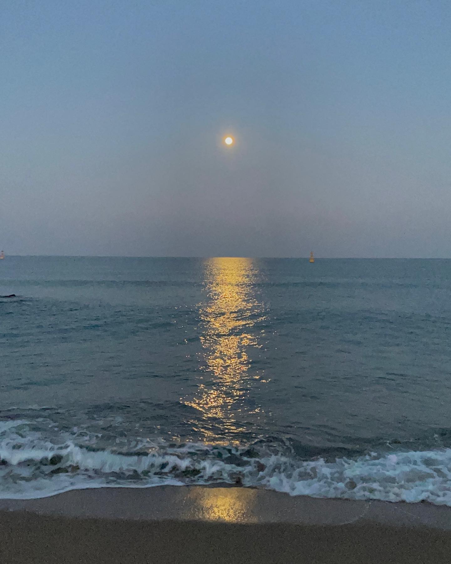 콘텐츠