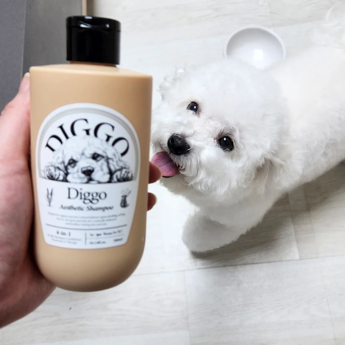 #문어 #목욕했어요
#개샴푸 #강아지샴푸 #협찬
diggo.official
#디고샴푸
.
털과 피부에 영양이 듬뿍 스며 들었는지,
문어의 피부는 물론와 털에 윤기가 좔좔 흘러요 ❤️
.
향에 무척이나 깐깐한 저도 씻기고 나서의 샴푸의 잔향이 맘에 쏙 들었습니다.😄

맥주효모 추출물이 많이 함유되어 윤기있는 털을 뽐내는데 도움이 되는거 같아요!
엄청난 수분을 저장해주는 히알루론산이 많이 함유되 보습과 진정에 좋은거 같은 샴푸에요!
.
첫번째와 마지막 사진이 목욕후 사진입니다! 매우 뽀송뽀송 ❤️