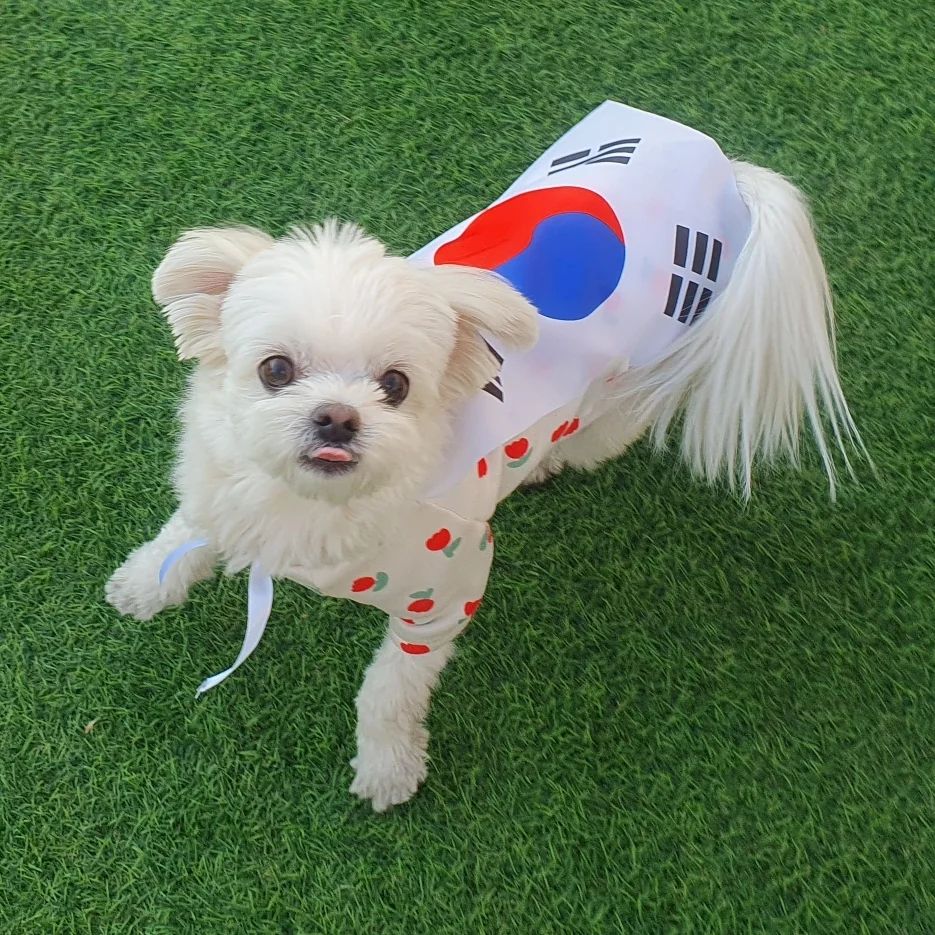 🇰🇷대한독립만세🇰🇷
이젠 3.1절에도 태극기 게양하는곳도 적어지고 태극기 보기가 넘나 어려워졌는데 둥이네는 태극둥이를 게양했둥👍🇰🇷

멍치원에서 태극기 달아주셨능뎨
3.1절기념 마라톤도 뛰고 넘나 뜻깊둥❤️‍🔥

떤땡님과👩‍🏫 칭구들과👭👬 조짜서
단체사진도 찍었는뎨📸 그건 갠소해야디🙈

👩근데 둥아 너 왜 메롱하구다녀? 귀엽게!?
#삼일절 #삼일절🇰🇷 #31절 #태극기
#제제네멍치원 #멍치원 #삼일절마라톤
#대한독립만세 #대한독립만세🇰🇷 
#태극기게양 #대신 #둥이사진올리기 #❤️