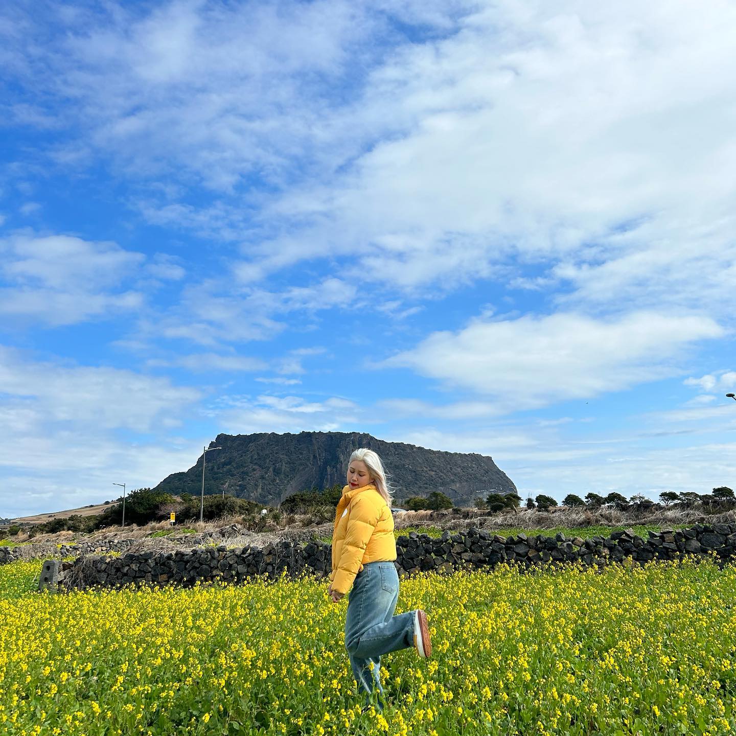 Jeju 홍보대사 시켜줘