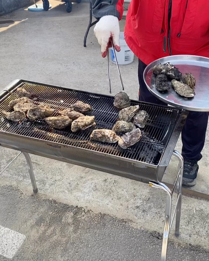 캬아 시골 죠아요 🦪