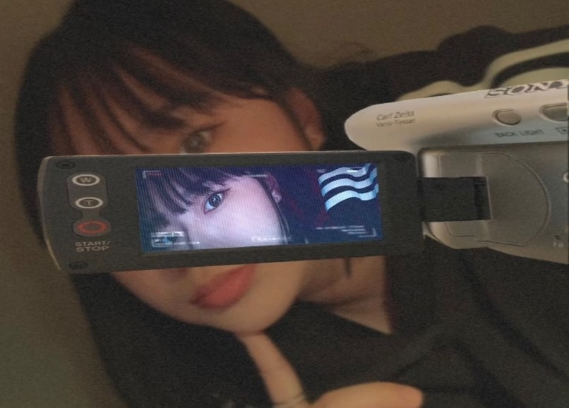 가로본능 🚥