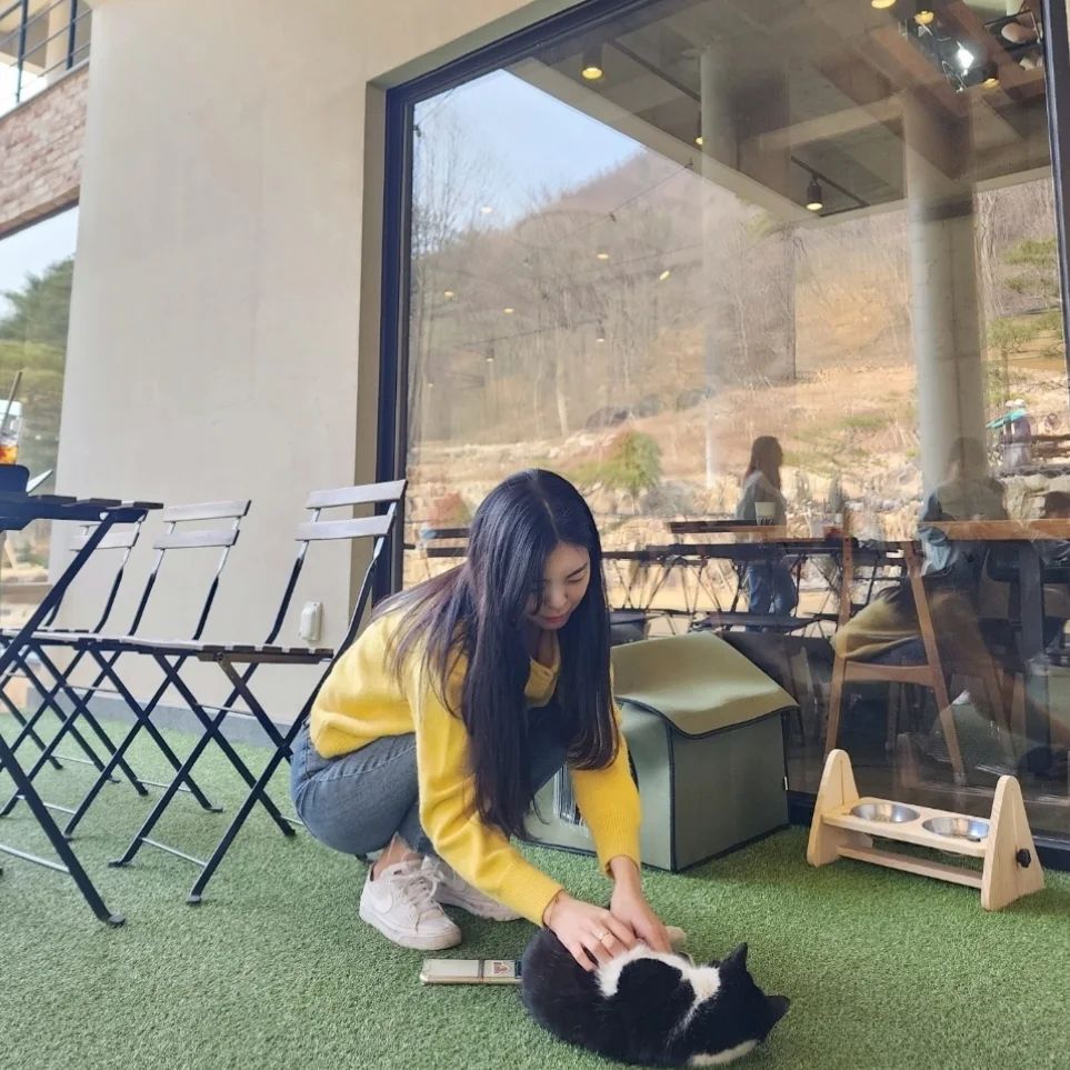#소양