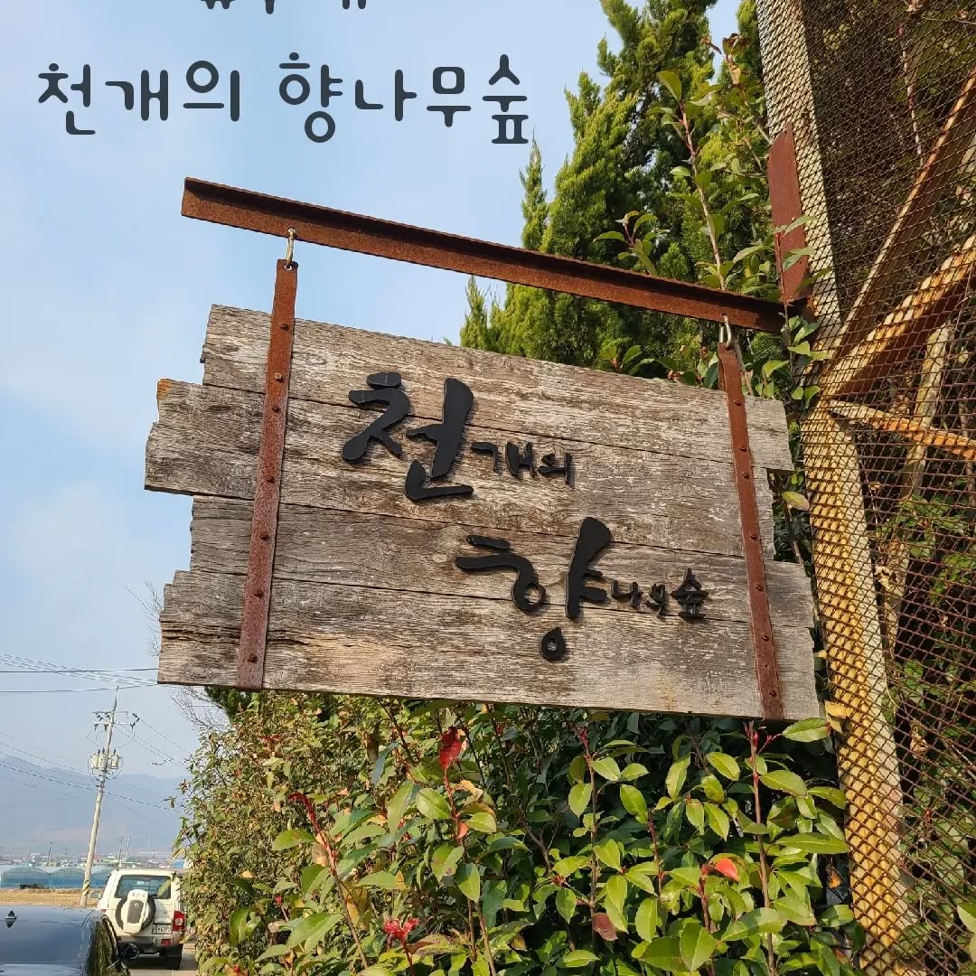 #구례 #천개의향나무숲 #산수유축제 
#전남가볼만한곳_구례 #한적하게 #걷기좋은
#아이와함께가볼만한곳 #카페있음 #유료
#안지향챌린지 #기록스타그램 

구례여행지 천개의 향나무숲..
유료 개인 정원이라 그런지 사람이 없네요
그래서 더 한적하게 걸을수 있어요
넓은 향나무 숲길을 걷다보면

저 길 끝엔 뭐가 있을까.. 

끝까지 가보기로 합니다.. 

무엇이 나오든 나는 걱정하지 않습니다

또 예쁜 곳이 나올것이니까요 ^^