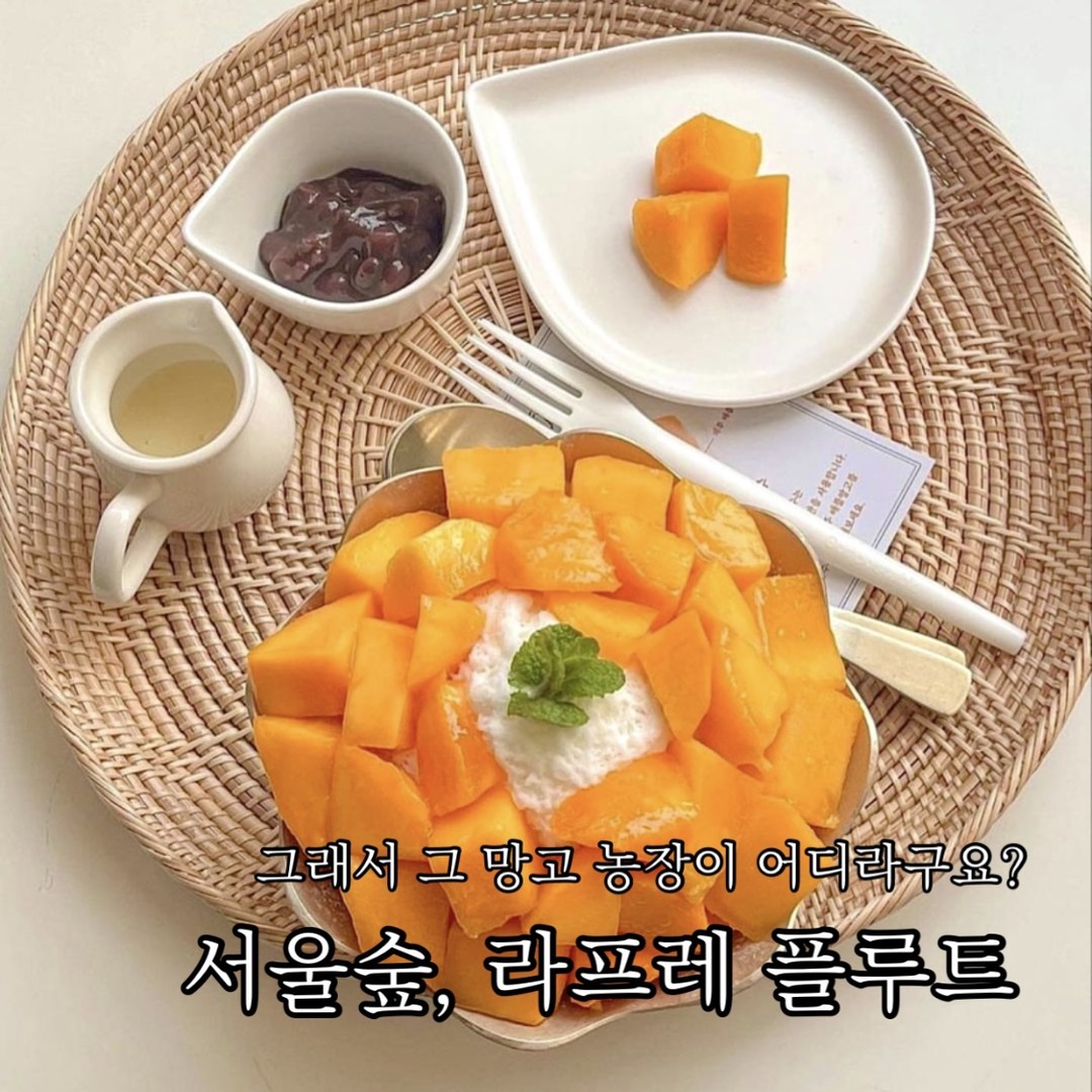 그래서 그 망고 농장이 어디라구요?
서울숲 #라프레플루트

유명 호텔과 같은 농장에서 수급하는 망고를 사용한다는 소식에 달려갔던 라프레 플루트
그냥 여기는 과일에 진심이에요. 저도 여기서 과일 사고 싶어요..

#제주애플망고빙수 , 사실 그다지 과일 빙수를 좋아하지 않는데도 반짝반짝 윤기나는 망고는 또 참을 수 없지!
냉동과일이나 과일 시럽이 아닌 제철 계절 과일만을 활용한 다양한 메뉴가 있다.
우유 얼음 위에 가득한 망고와 연유, 팥, 그리고 에피타이저용 망고를 세팅해 주시는데
특히나 따로 세팅된 애플망고로 온전히 맛을 느끼게 해주는 것이 참 좋았던.
우유와 동물성 생크림 그리고 우유가 혼합된 우유 얼음은 빙결이 매우 고와 입에 닿자마자 사르르 녹아내리는
달기가 부족하다는 평도 많았는데 생각보단 우유 얼음 자체에서도 달달한 연유의 맛이 많이 느껴졌고 후숙된 애플망고의 당도도 좋았다.
기대했던 만큼 애플망고 자체가 매우 신선하고 푸짐해서 끝까지 함께 먹을 수 있었던.
함께 제공되는 연유와 팥은 취향 따라 조금씩 섞어먹는 걸 추천!

가격이 좀 부담스럽다면 1인 컵빙수와 음료를 시키는 것도 좋을 거 같고,
소금빵, 과일 케이크 등 베이커리 메뉴도 꽤나 많아서 다음엔 복숭아 케이크를 먹으러 꼭 재방문하고 싶은 곳.

📝추천메뉴 
제주애플망고빙수 42,000
제주애플망고컵빙수 15,900
복숭아케이크 8,900

🥭라프레플루트
서울 성동구 서울숲2길 8-8 2층

📷photo by. rafre_fruit
좋은 공간, 맛있는 디저트 같이가요, 함께 먹어요 sw__eats 

#서울숲맛집 #서울숲카페 #서울숲카페추천 #서울숲빙수 #망고빙수 #빙수맛집 #망고빙수맛집 #먹스타그램 #먹팔

#먹스타그램 #맛스타그램 #먹팔 #먹팔선팔 #먹팔맞팔 #팔로워 #좋아요 #빵지순례 #빵투어 #서울맛집 #디저트투어 #선팔 #소통 #기록 #디저트 #맛집 #카페추천 #디저트추천