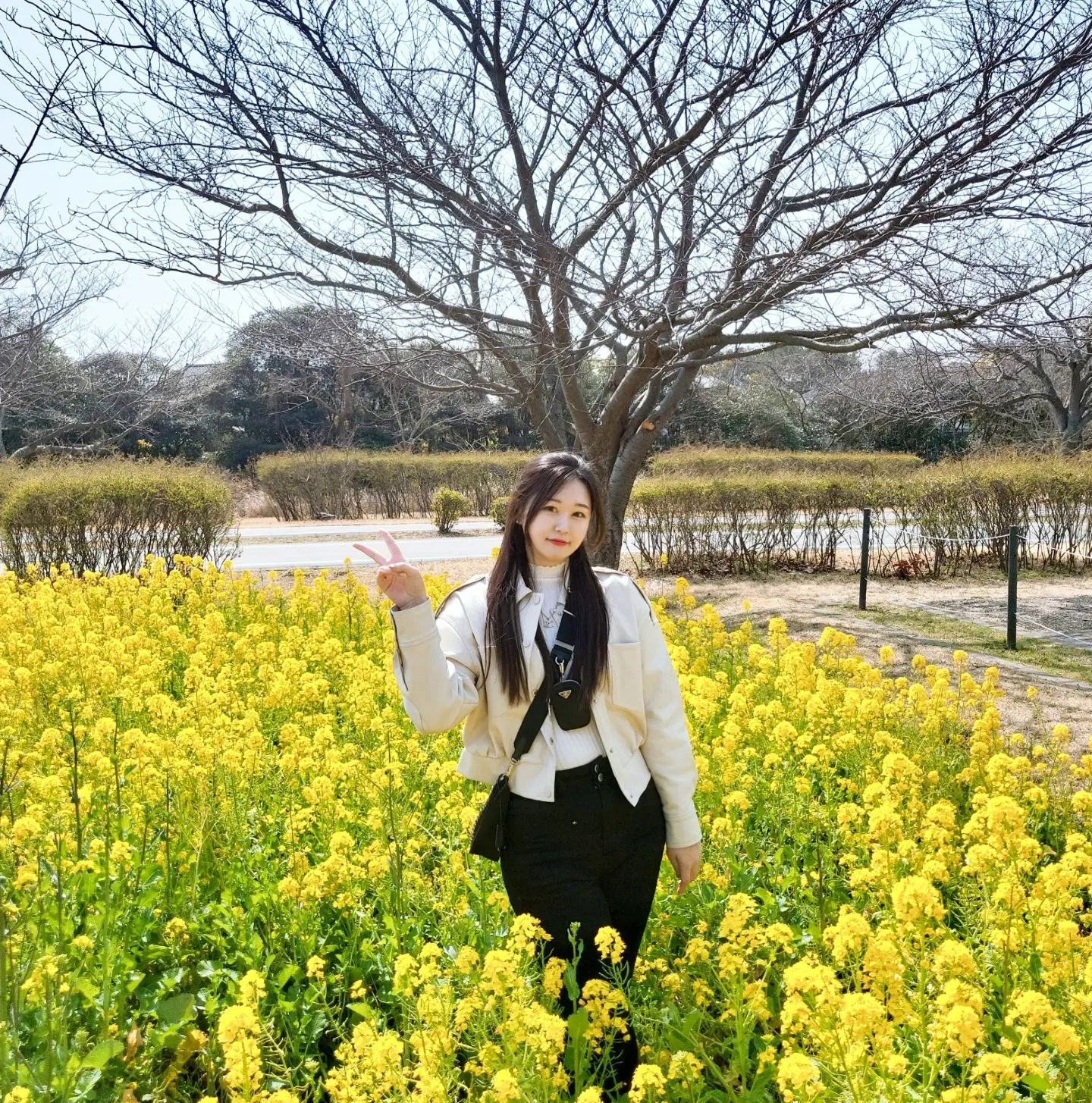 날씨가 너무 죠아용💛

.
.
.

#우미노나카미치 #일본 #후쿠오카