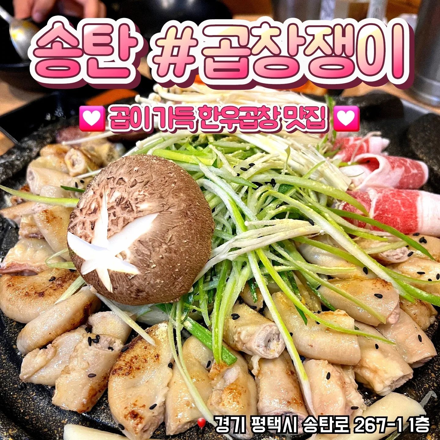 📁송탄 곱창쟁이

🎈경기 평택시 송탄로 267-1 1층
🎈0507-1403-3388
💸소곱창 22,000원

✔️사이좋은 노부부 두분이 운영하시는 식당이에요
✔️고기와 내장 모두 신선도가 좋아요
✔️같이 나오는 파김치 리필필수! 구워먹으면 정말 맛있어요
✔️곱창에 곱이 진짜진짜 가득해서 너무 고소해요🤤
✔️송탄평택 통틀어서 곱창제일 맛있는 집 (진심)

#평택맛집 #송탄맛집 #송탄출장소 #송탄출장소맛집 #평택곱창 #송탄곱창 #송탄술집 #평택술집 #송탄회식 #곱창쟁이 #곱창맛집 #먹스타그램 #먹팔 #먹팔환영 #선팔하면맞팔
