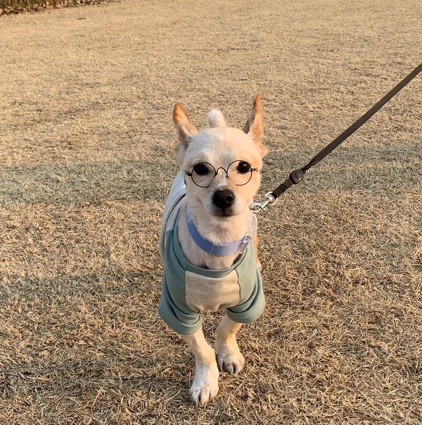 오늘의 훈제 모음🤍