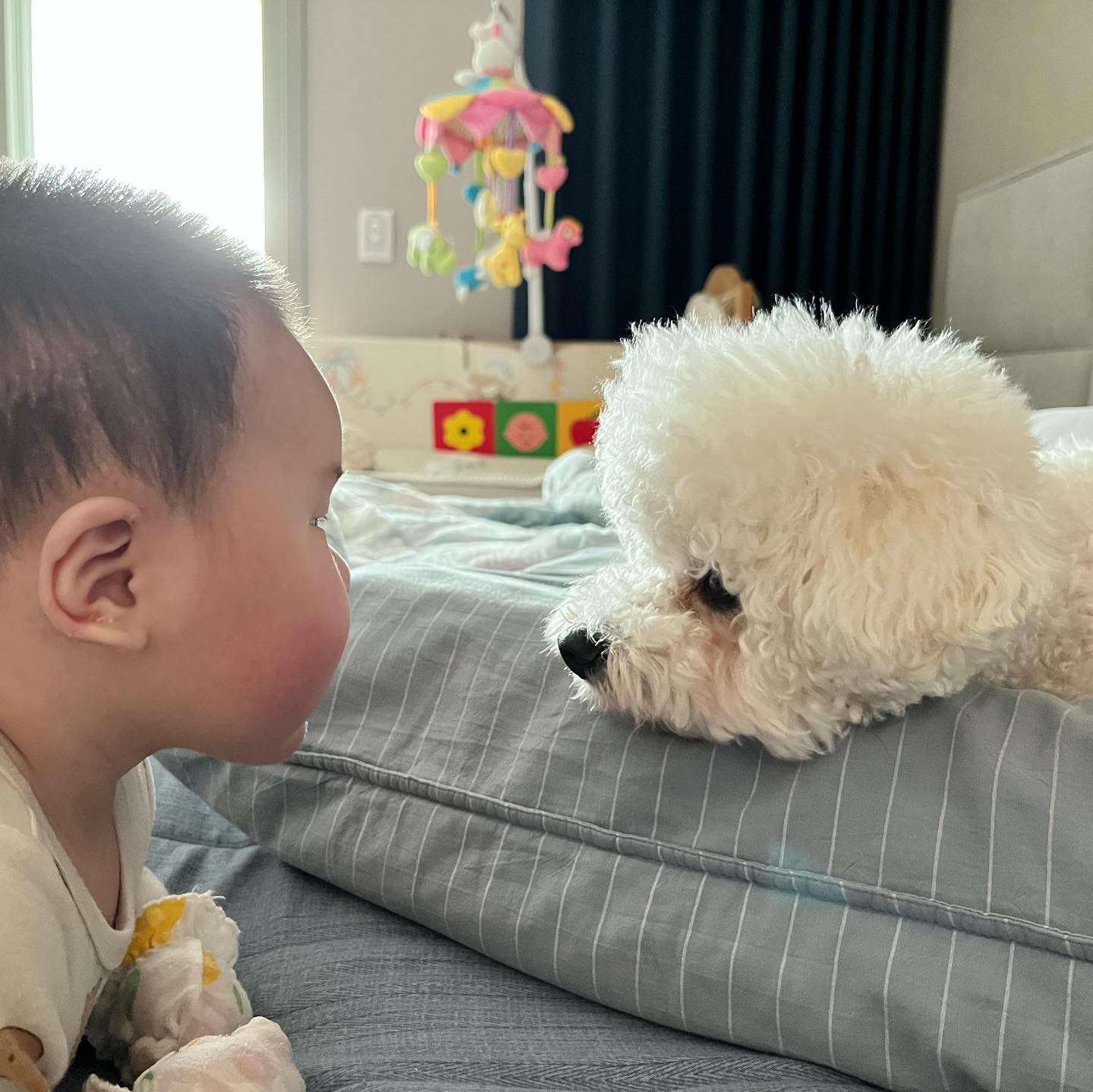 동생과 마주보고 #아기와강아지