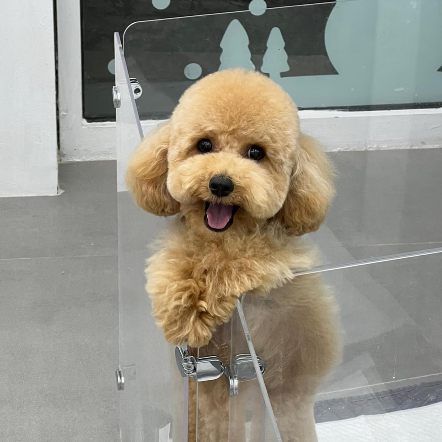 째깐헌게 귀엽기는 ㅋㅎㅎ