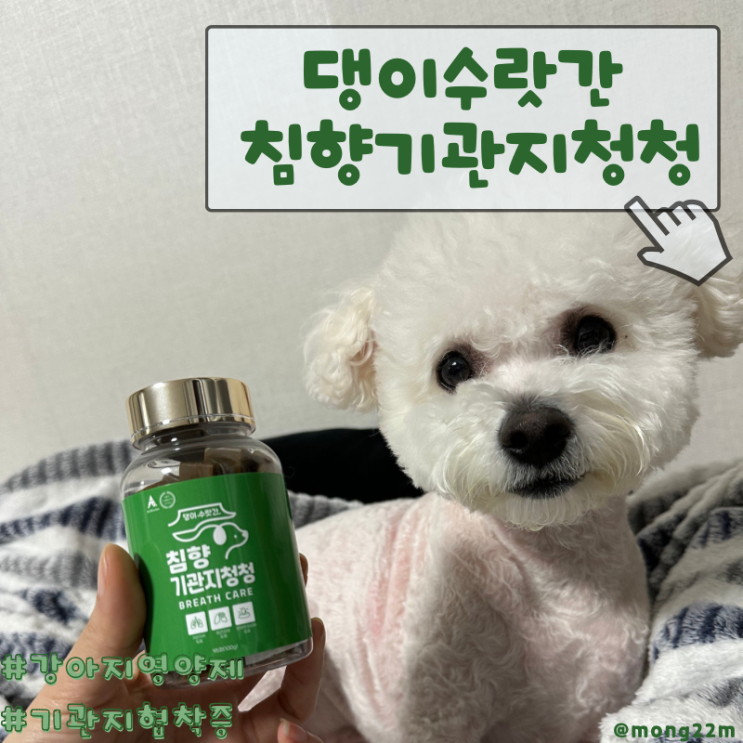 몽이를위한 강아지영양제 댕이수랏간 침향기관지청청