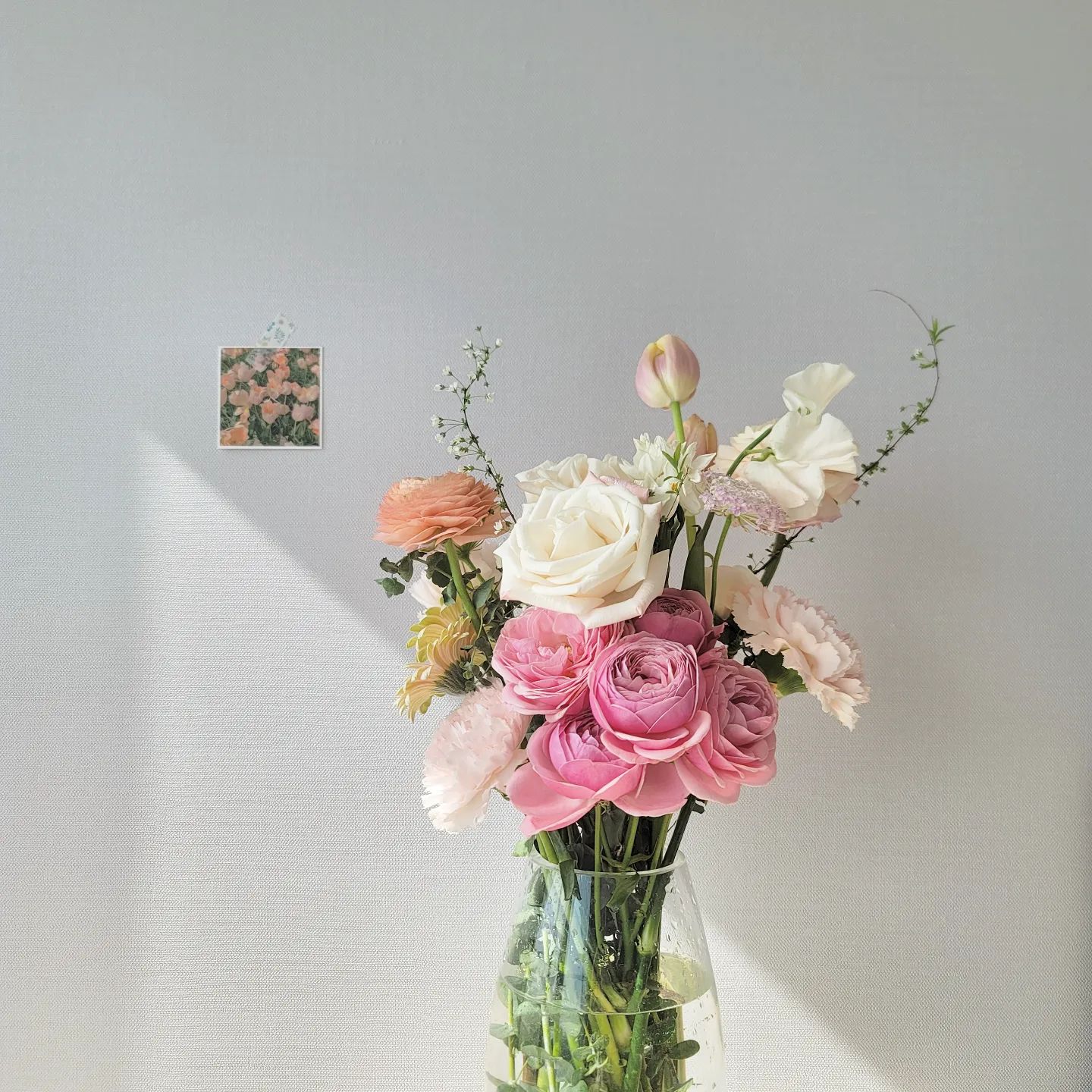 -
늦은 화이트데이 기록 💐 

어느날처럼 화요일에 꽃을 사온 훈짱
나도 나름 서프라이즈로 훈짱이 좋아하는 떡을 준비했지만
쿠키집 쿠키를 사옴 😆 ㅋㅋㅋㅋㅋㅋ
뭐..쿠키집 쿠키면 말 다했지🍪 

이런날은 또 맛난거 먹어줘야하니까
차돌쭈꾸미 시켜서 신나게 먹고 마무리 👏 

#후니여니홈🏡 
#벤트후니 #이벤트남 #변하지마
#화이트데이 #화이트데이선물 #꽃
#꽃다발 #귀객 #라디플라워 #쿠키집
#천안꽃집 #천안쿠키 #천안떡집 #천안