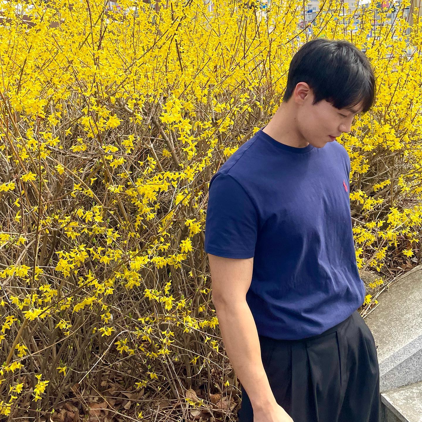⠀
🌼