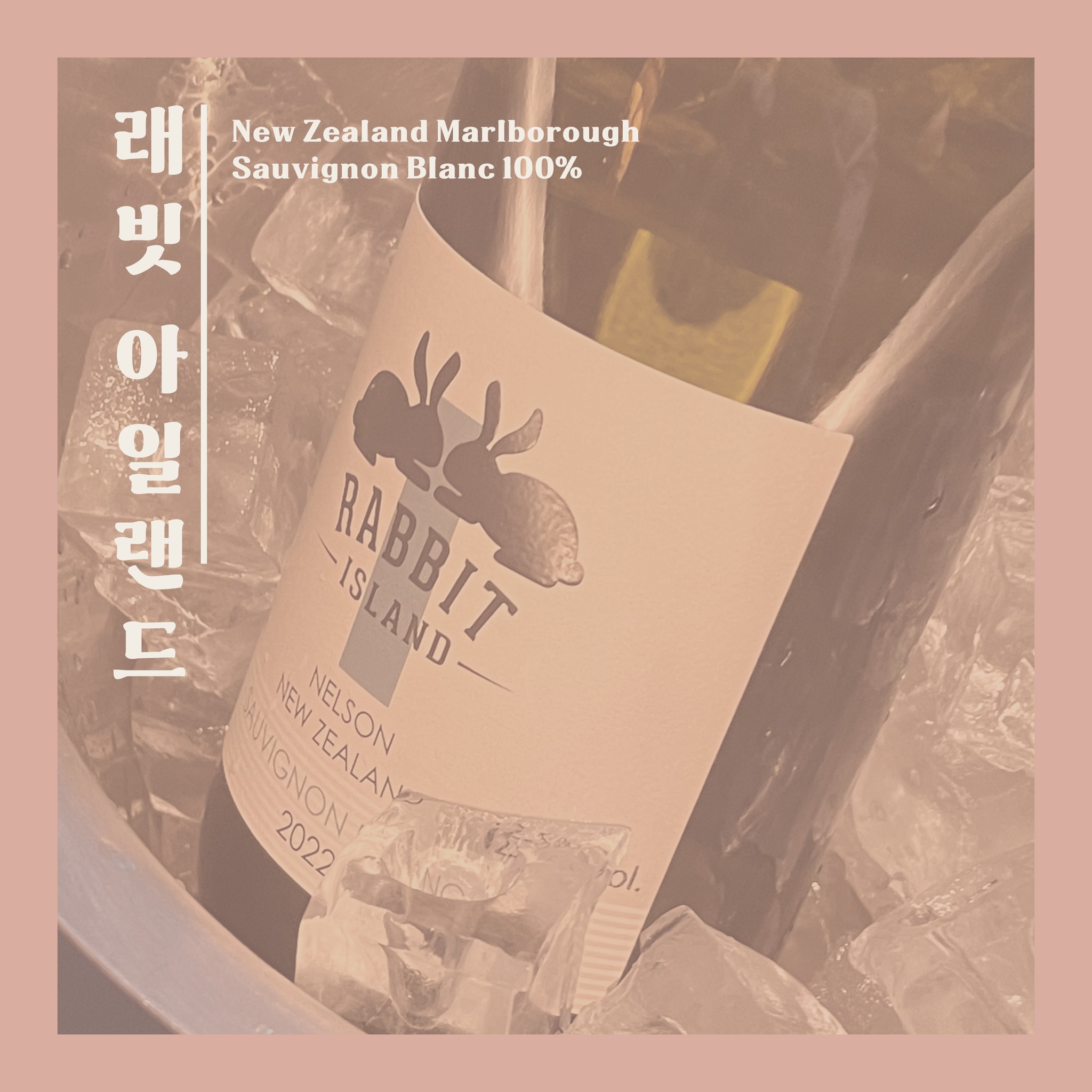 #래빗아일랜드
벌써 3월 중순인 것 실화인가요?
시간이 쏜살같이 달려가는 와중
이제서야 2023을 기념해봅니다🤣

2023년 흑토끼 해를 기념하기 위한
소비뇽 블랑, 래빗 아일랜드🥂

코에서도 혀에서도 팡팡 터지는
시트러스를 느낄 수 있는 와인이에요

특히 산도가 크리스피해 시원하지만,
둥글진 산도를 좋아하는 분들은
좋아하지 않을 것 같네요😂

산뜻한 소비뇽 블랑으로
2023 초심 다잡기 어떠신가요!

🍷 래빗 아일랜드 소비뇽 블랑
✔ 지역 : 뉴질랜드 말보로
✔ 와이너리 : 래빗 아일랜드
✔ 품종 : 소비뇽 블랑 100%
📍 향 노트 : 시트러스, 미네랄, 트로피컬

#와인 #와인추천 #와인러버 #와인리뷰 #소비뇽블랑