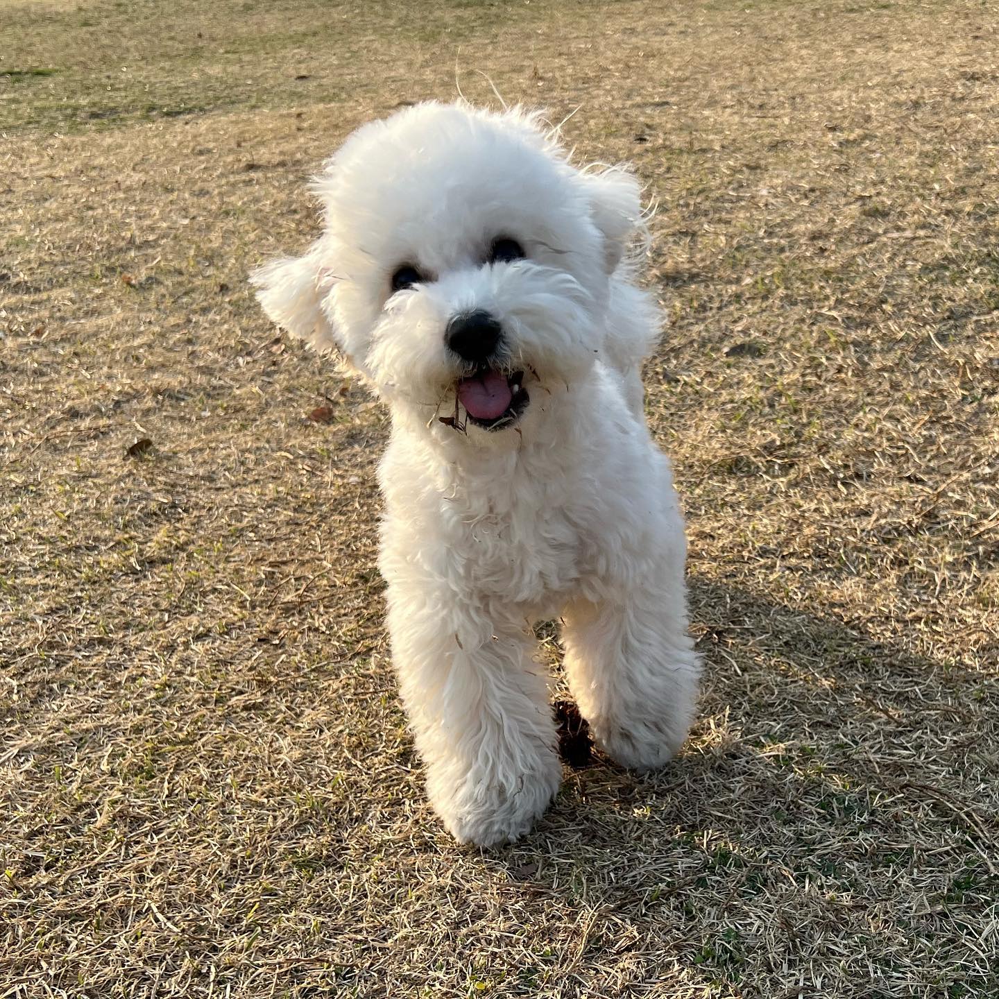 하루종일 뛰어놀앗더니
개피곤그잡채🫠..❤️