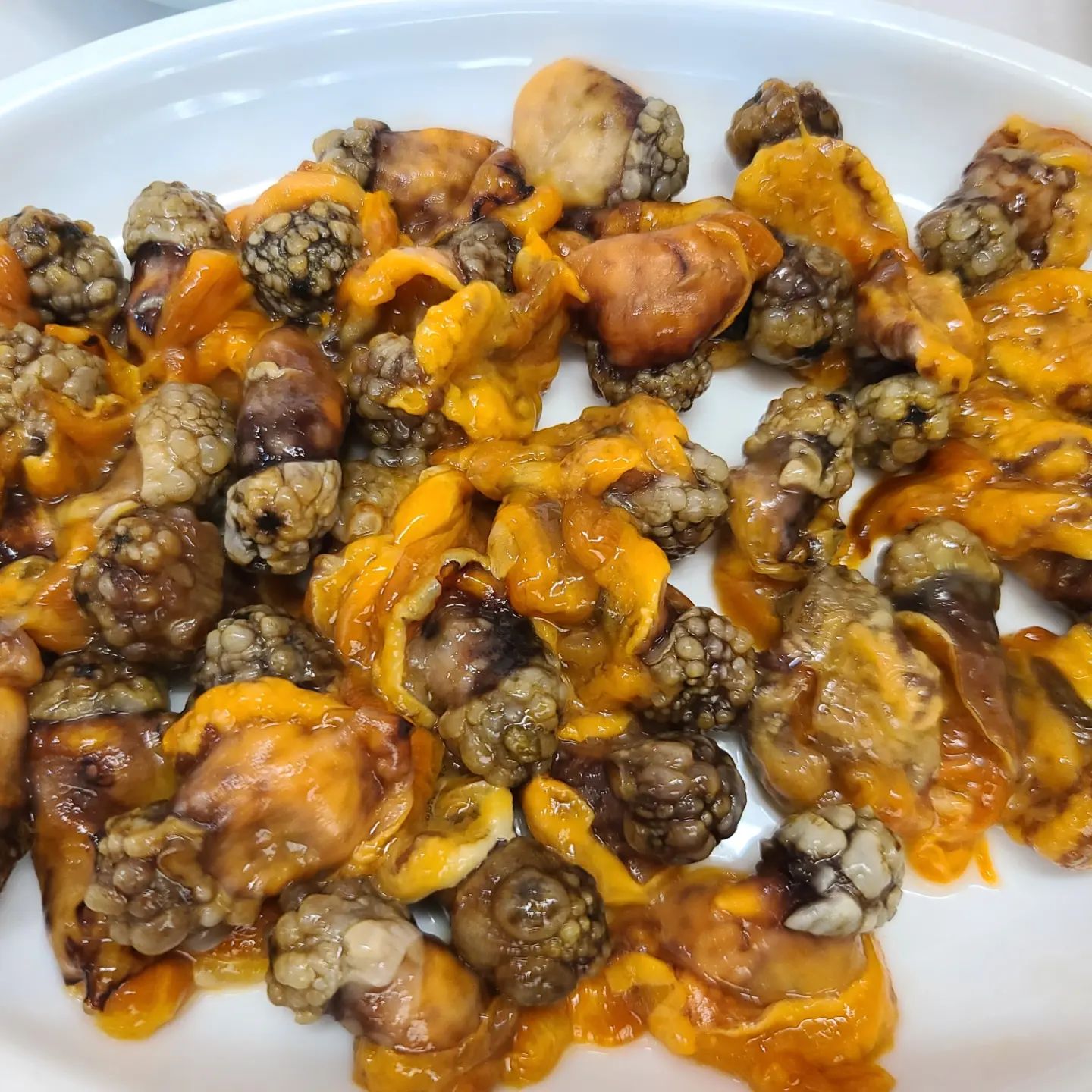 #미더덕회#미더덕덮밥#고현횟집
와~~오늘 점심 성공! 
쑥국도 맛있고 반찬도 다 맛있네요👍