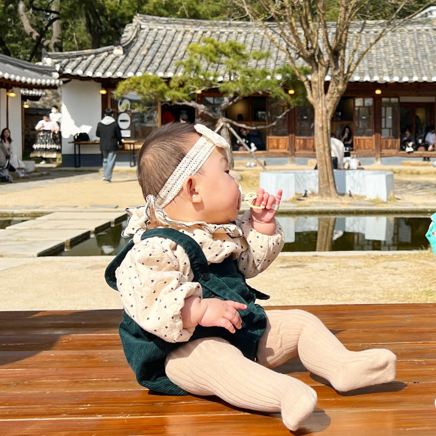 이제 날씨도 좋으니,
자주 나가서 놀아야겠다🤍💛
주말 경주는 사람이 엄청 많다!
라에리 사람구경한다고
두리번 두리번!!!
#카페솔 #경주카페 #육아맘
