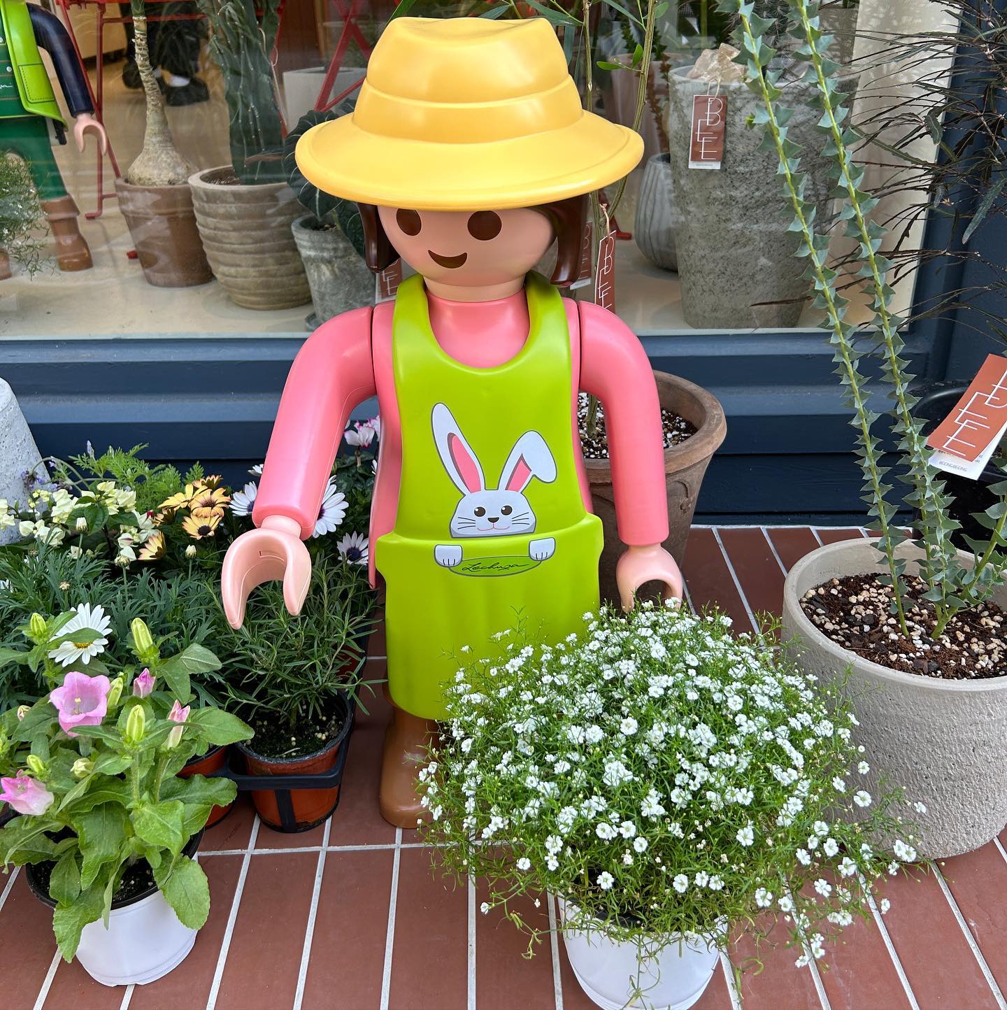 콘텐츠