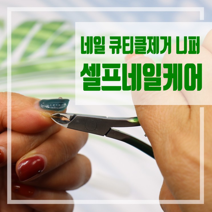 셀프네일케어 네일 큐티클제거 니퍼 사용후기