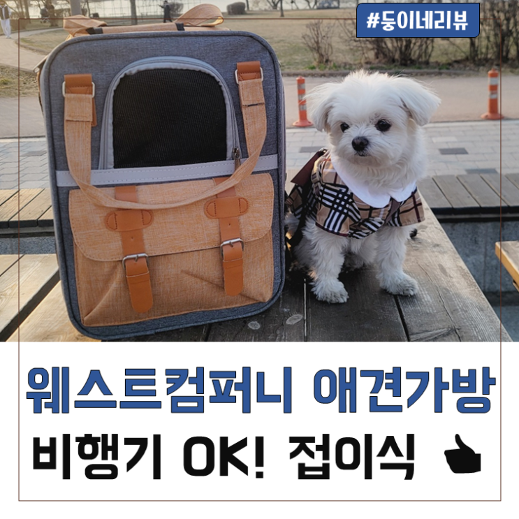 강아지도 탐내어 사용하는 고양이백팩!