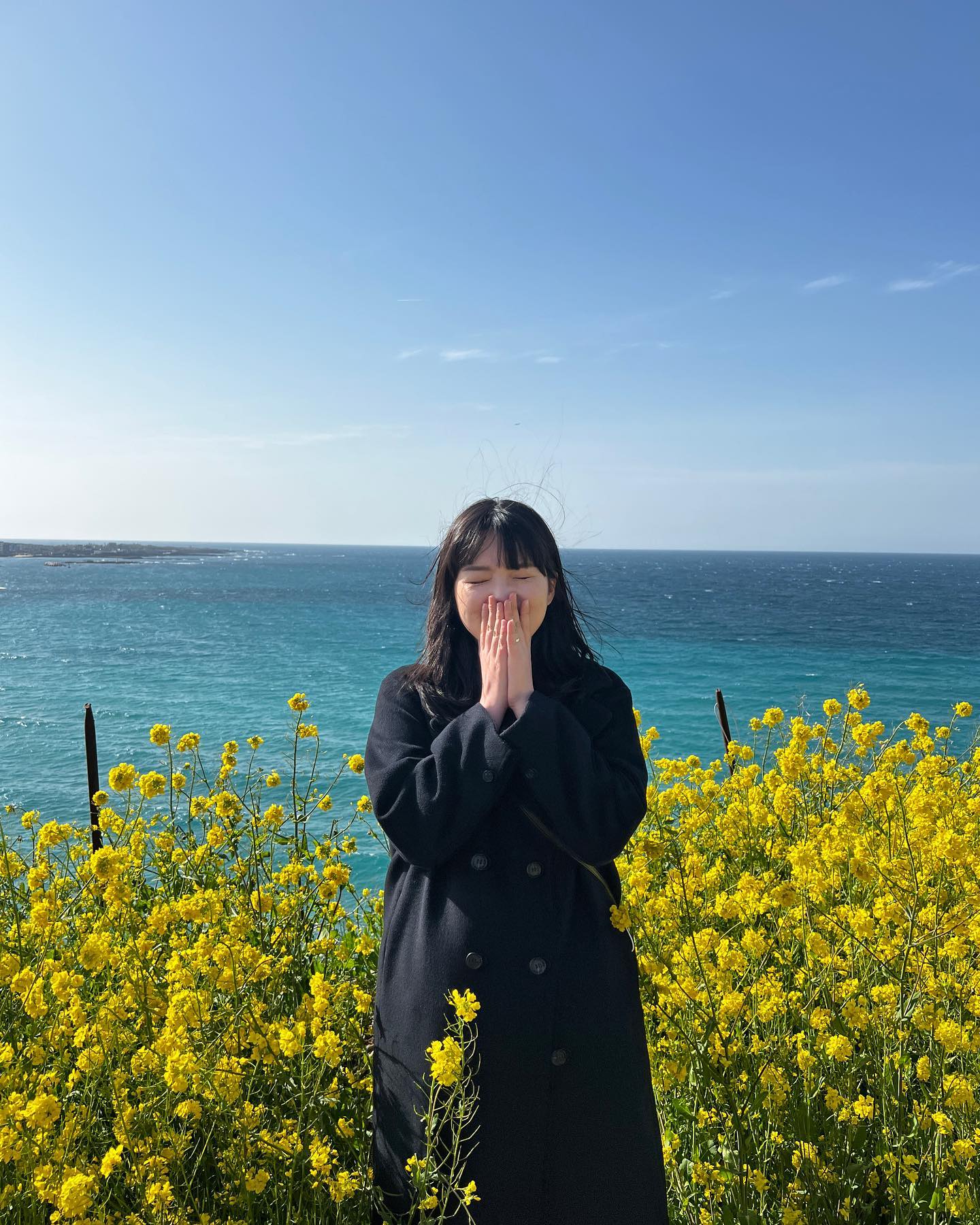올해는 없을 줄 알았던 유채꽃 사진 🤍💛🤍