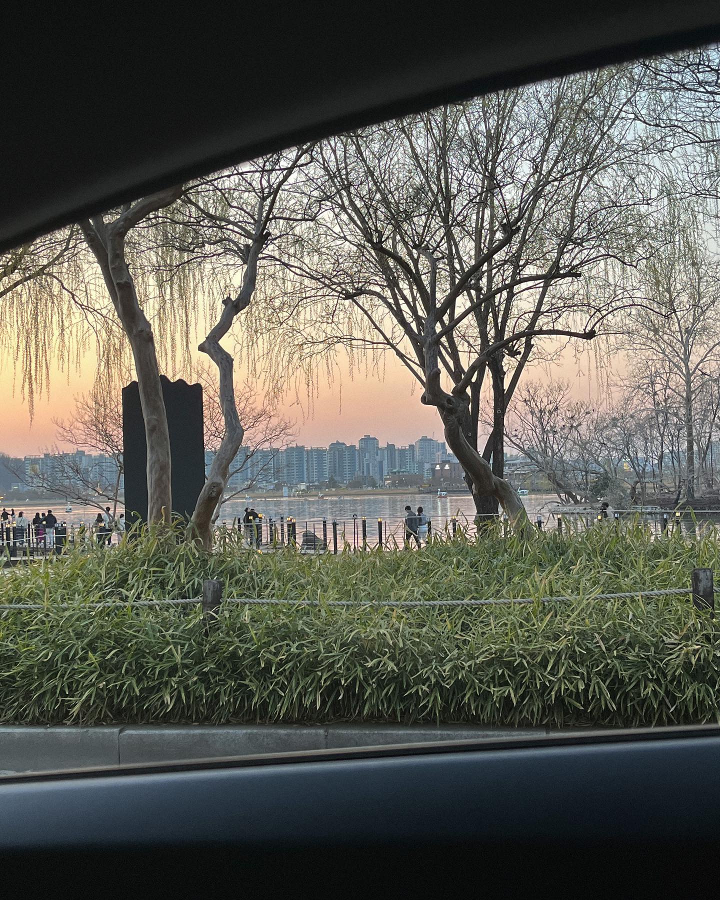 잠 안와서
오늘 본 예쁜 순간 올리기