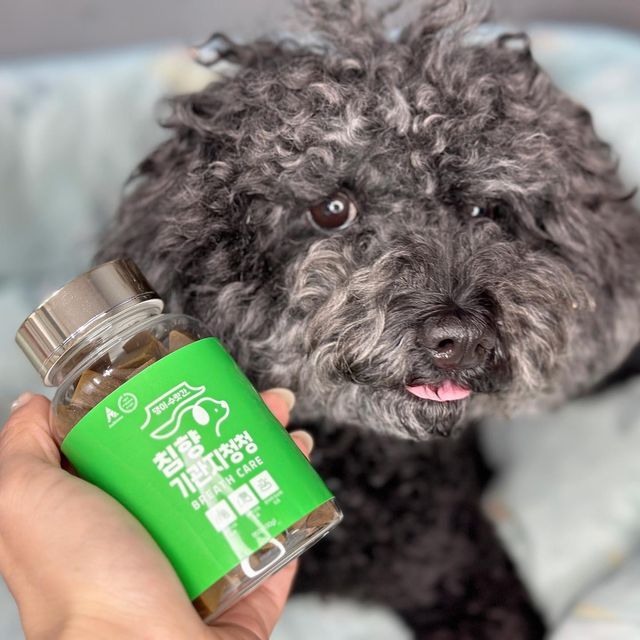 Chopa on Instagram: "#광고 밤마다 코고는 우리 쵸파🐕‍🦺를 위한  #강아지기관지영양제 #댕이수랏간 #기관지청청
이제 노령견이 된 우리 쵸파의 기관지건강을 위해 하루 한알 열심히 먹어보자구! 

#강아지영양제 #강아지호흡기영양제 #강아지 #거위소리  #켁켁거림 #기관지협착증 #댕이수랏간기관지영양제  #반려견영양제 #반려견영양제추천 #강아지영양제추천"