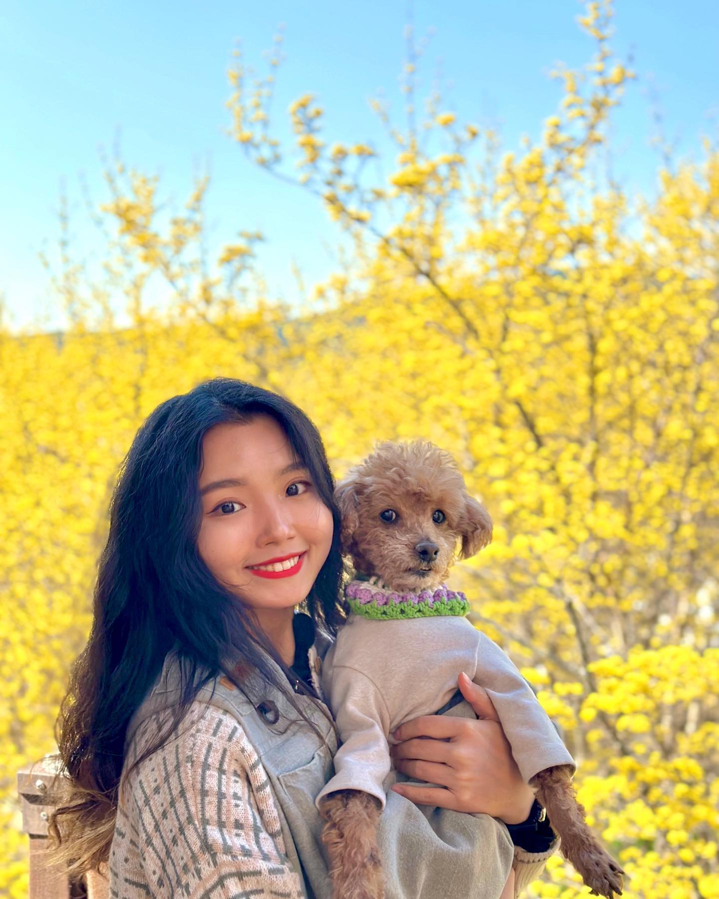 올해 첫 꽃놀이는 우리 코코랑 산수유로 시작-!🌼

#코_코 #꽃놀이 #꽃개 #봄 #봄꽃
#산수유 #산수유축제 #구례 #구례산수유축제 
#구례애견동반 #애견동반 #애견동반여행 #꽃 #피크닉
