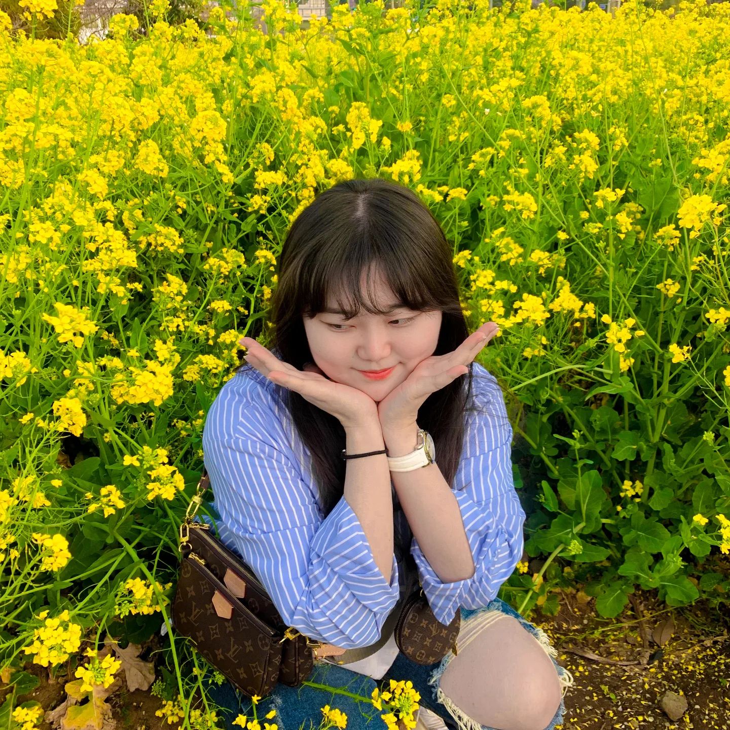 #3월제주 #여행기록 
#유채꽃 보러가는길에 급하게 다이소를 들렀는데 웬걸? 
바로 옆이 #유채꽃밭 #🌼 바로 유채꽃밭 취소하고 #📸